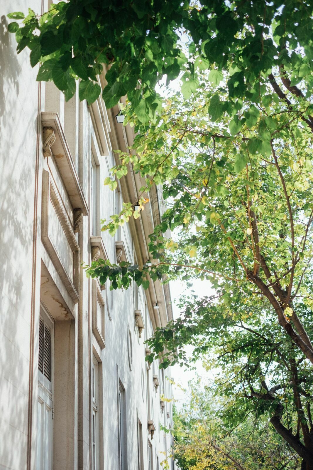 Foto Casamento Mariana e Rafael - Mendoza Argentina - Chegada e Visita técnica - Imagem 71