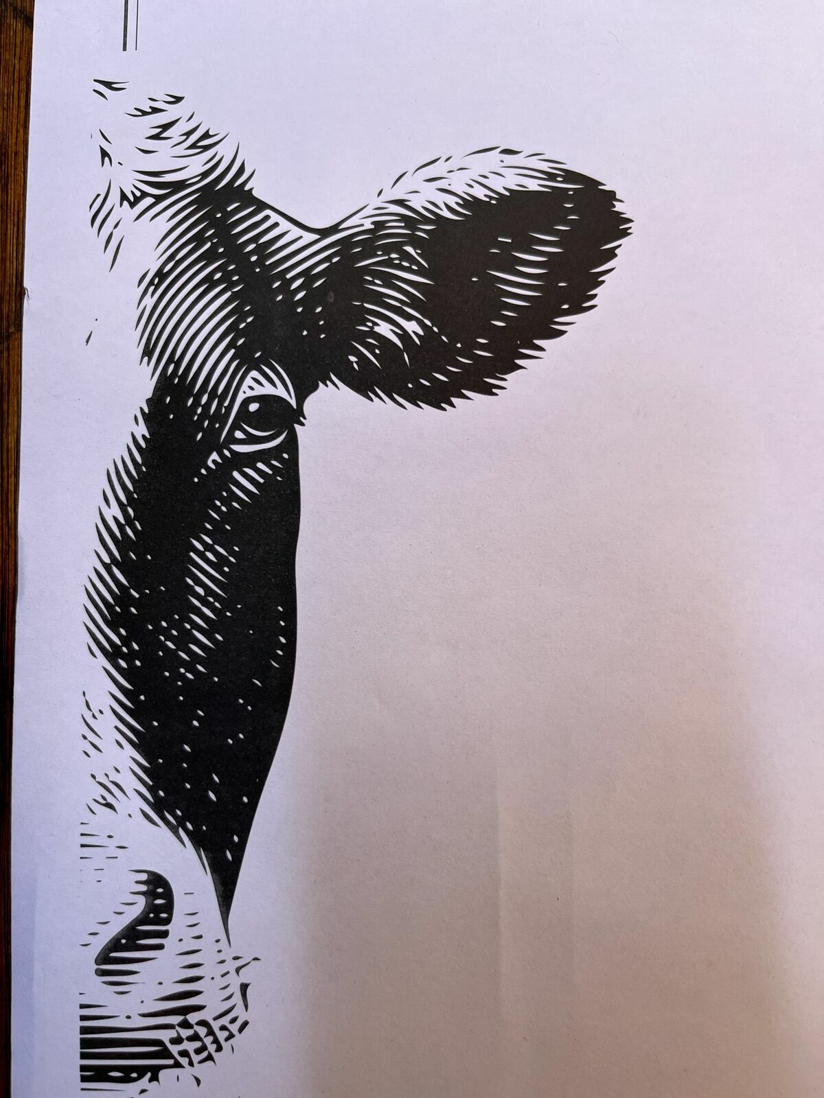 Foto Casamento Mariana e Rafael - Mendoza Argentina - Chegada e Visita técnica - Imagem 73