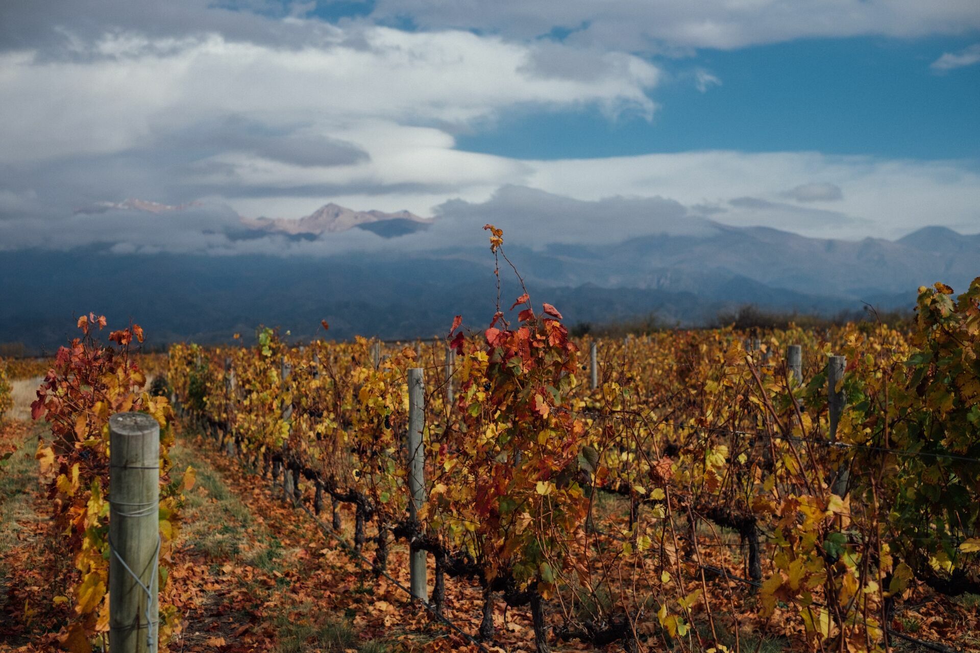 Foto Casamento Mariana e Rafael - Mendoza Argentina - Welcome Salentein e Casa de Uco - Imagem 21
