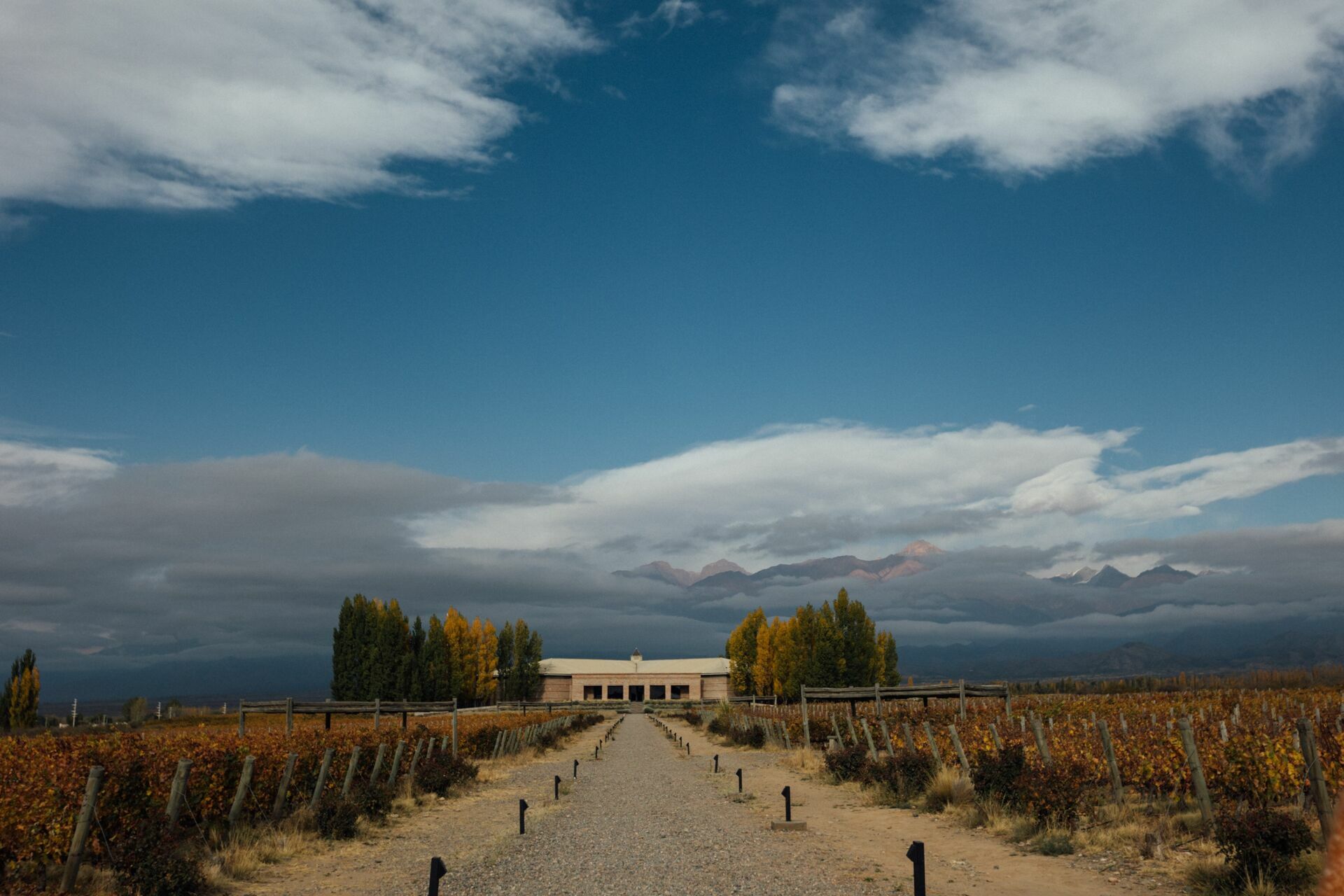 Foto Casamento Mariana e Rafael - Mendoza Argentina - Welcome Salentein e Casa de Uco - Imagem 8