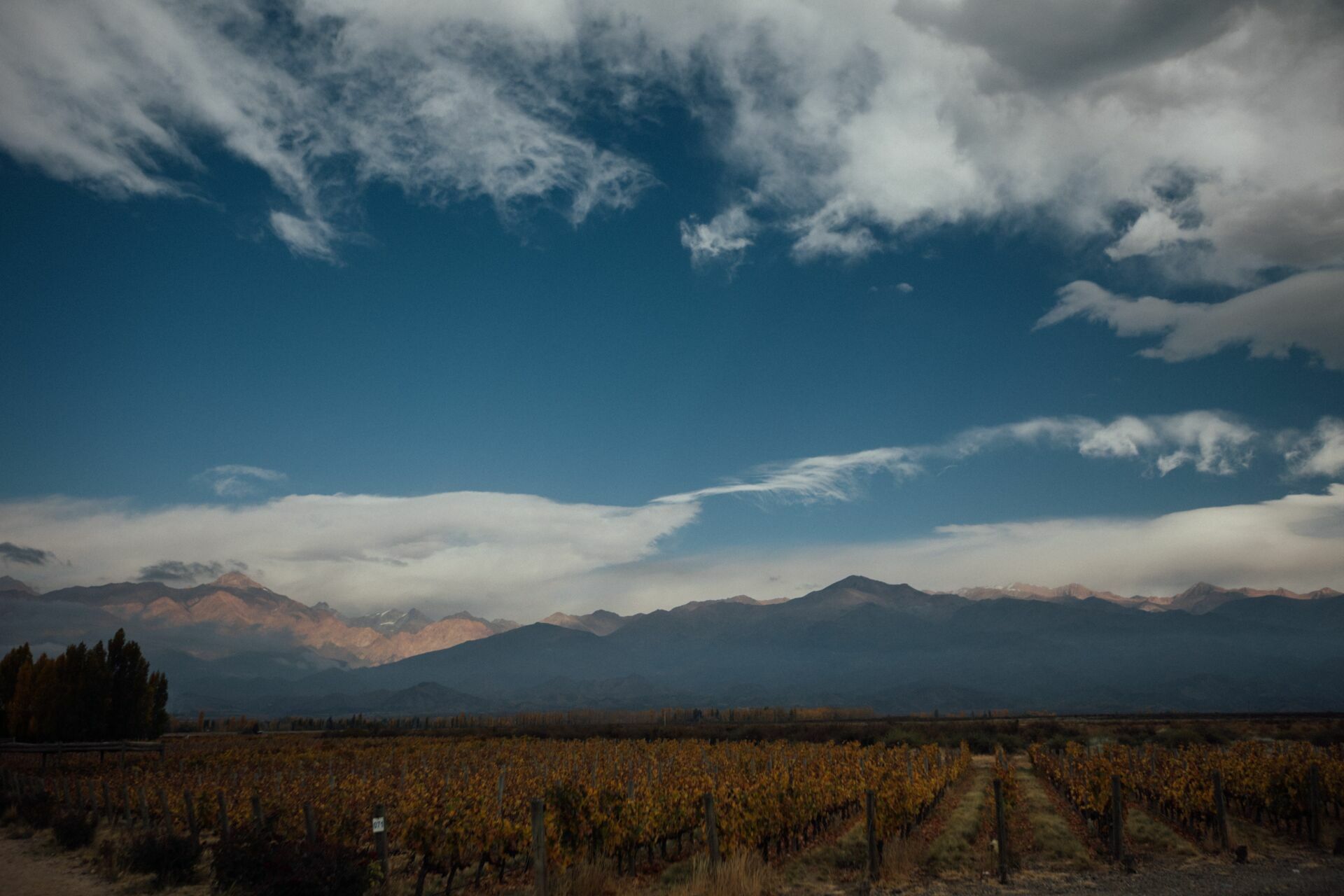 Foto Casamento Mariana e Rafael - Mendoza Argentina - Welcome Salentein e Casa de Uco - Imagem 32
