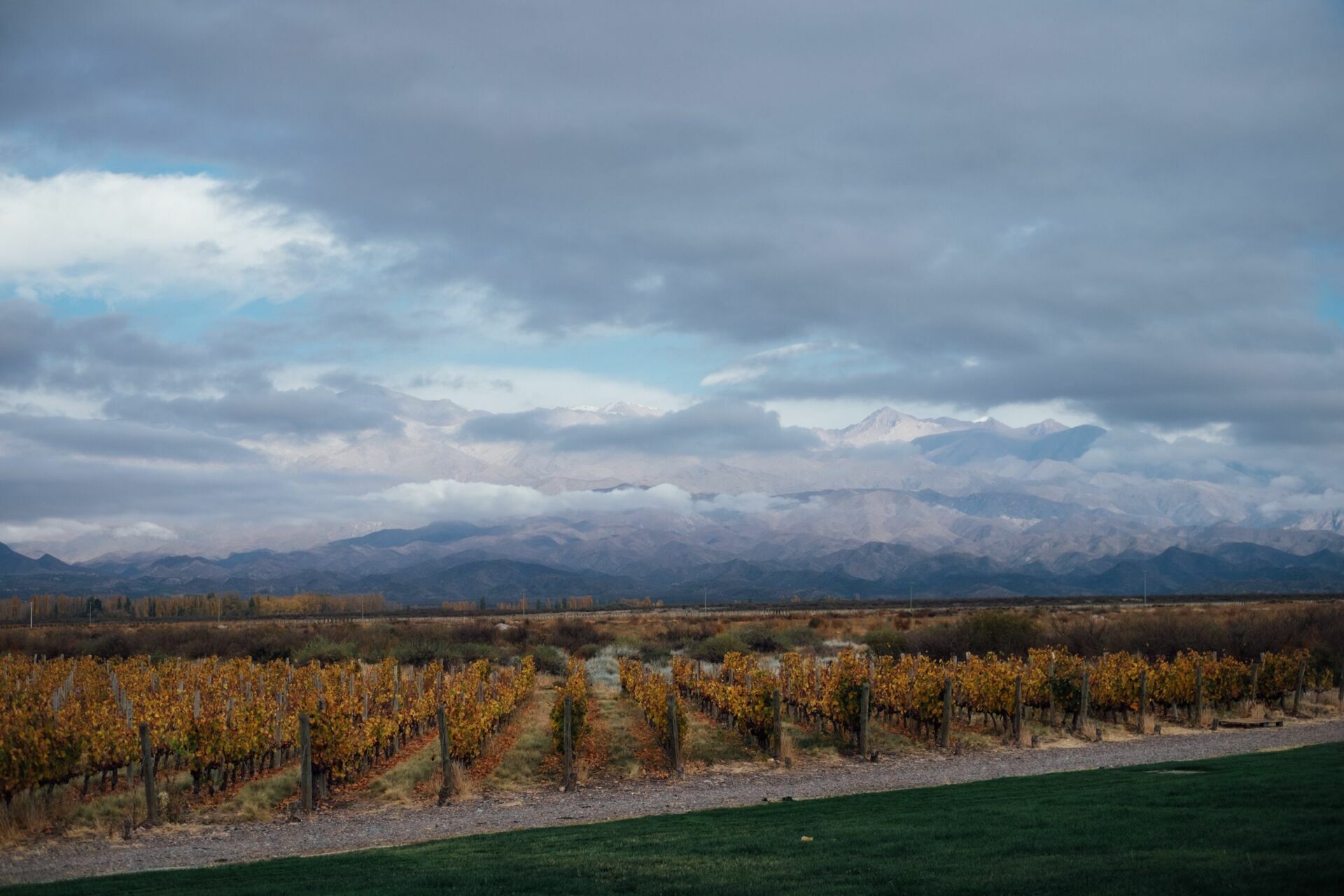 Foto Casamento Mariana e Rafael - Mendoza Argentina - Welcome Salentein e Casa de Uco - Imagem 1