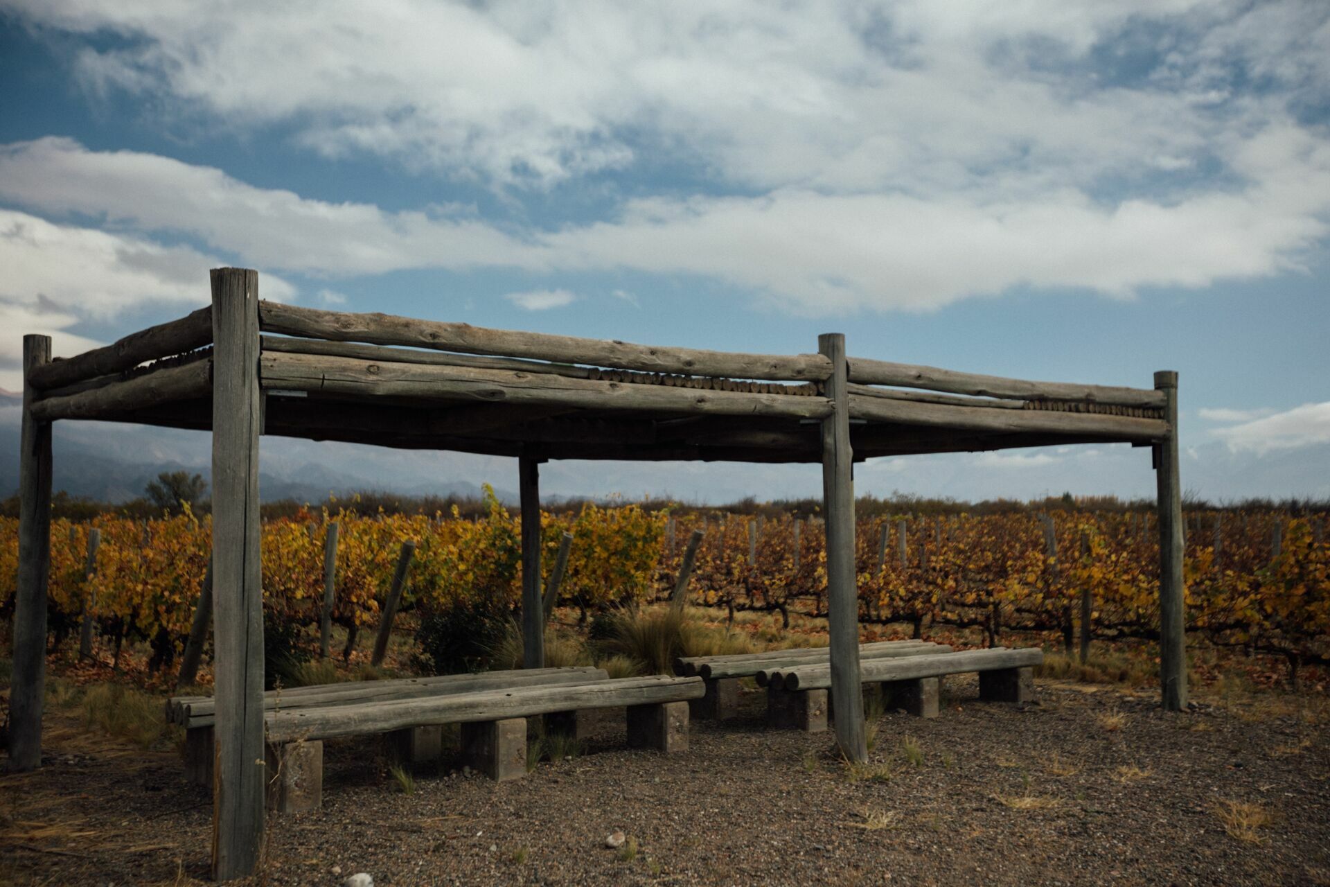 Foto Casamento Mariana e Rafael - Mendoza Argentina - Welcome Salentein e Casa de Uco - Imagem 22