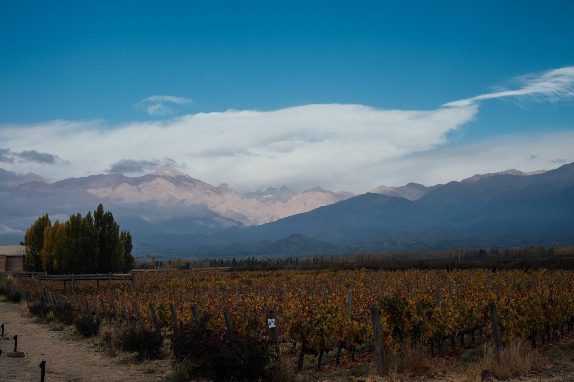 Foto Casamento Mariana e Rafael - Mendoza Argentina - Welcome Salentein e Casa de Uco - Imagem 33