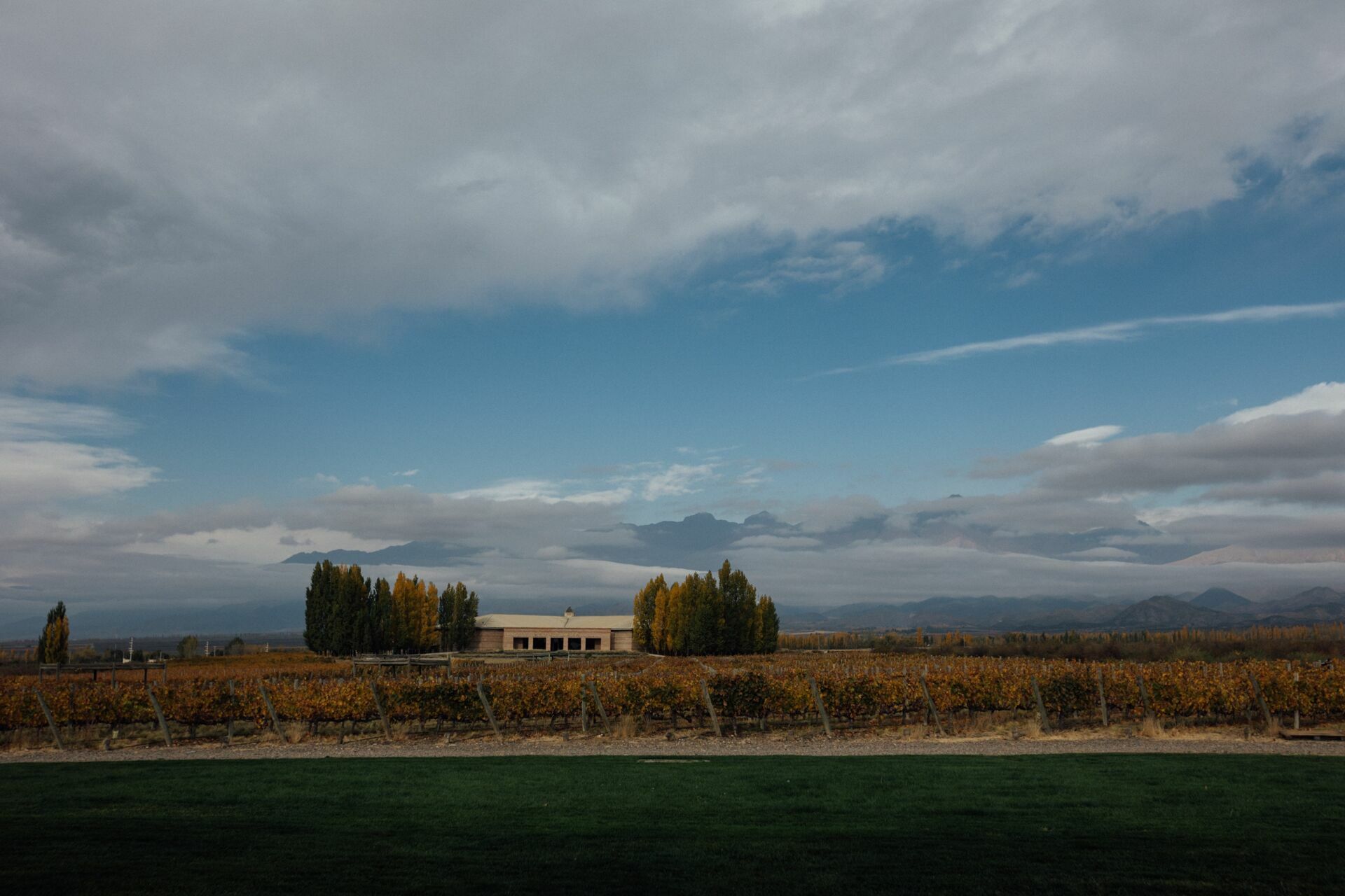 Foto Casamento Mariana e Rafael - Mendoza Argentina - Welcome Salentein e Casa de Uco - Imagem 4