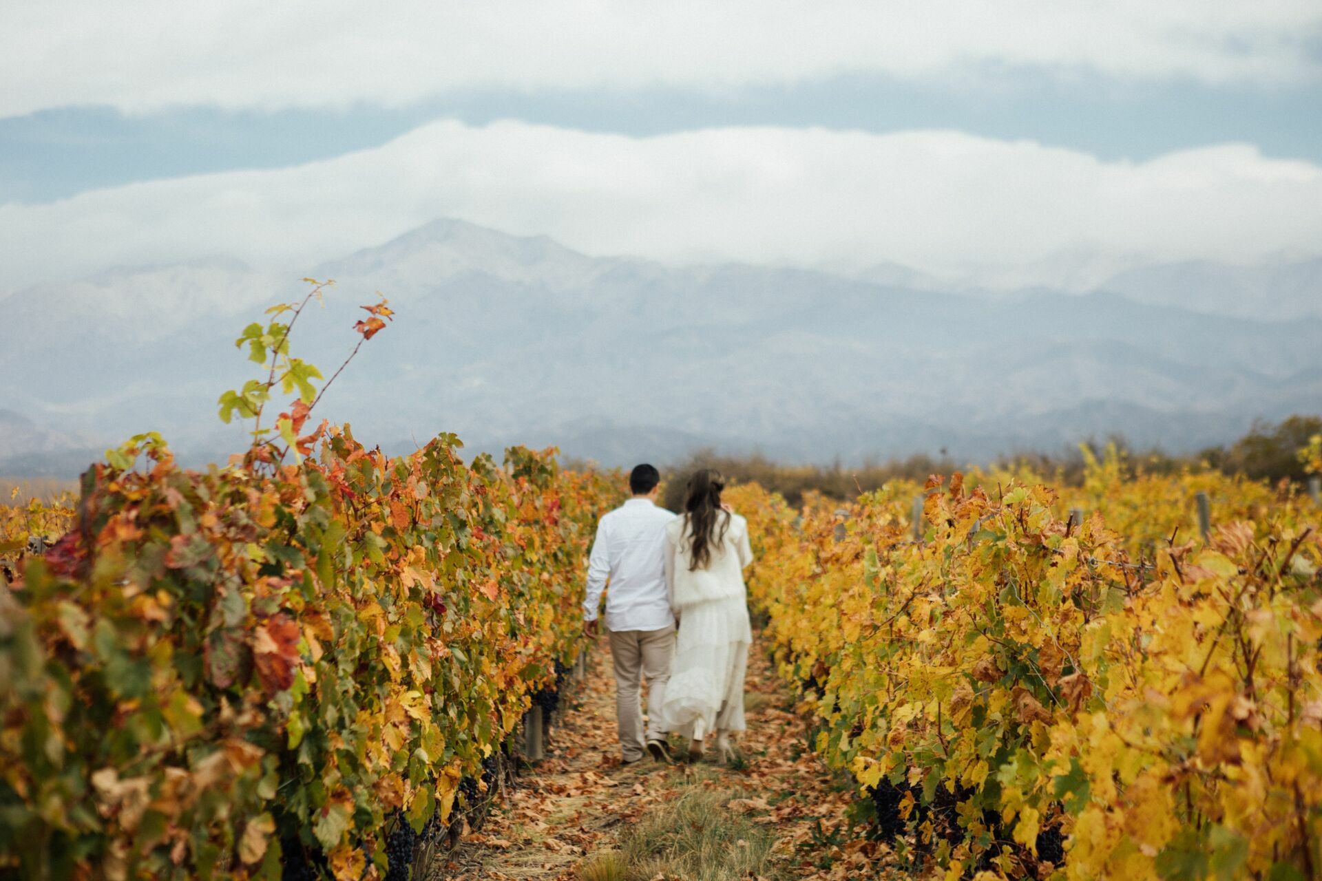 Foto Casamento Mariana e Rafael - Mendoza Argentina - Welcome Salentein e Casa de Uco - Imagem 177