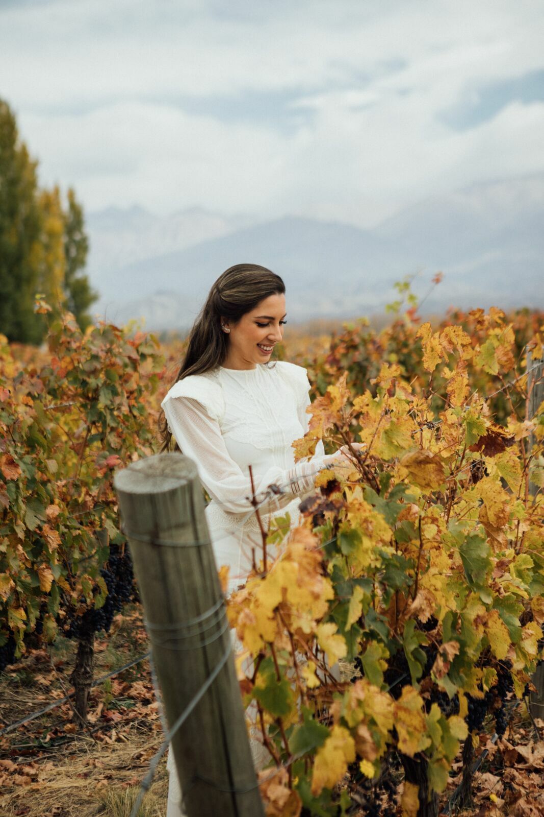 Foto Casamento Mariana e Rafael - Mendoza Argentina - Welcome Salentein e Casa de Uco - Imagem 198