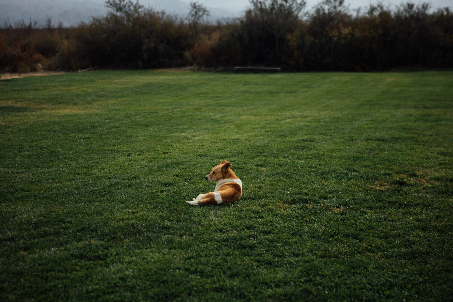Foto Casamento Mariana e Rafael - Mendoza Argentina - Welcome Salentein e Casa de Uco - Imagem 222