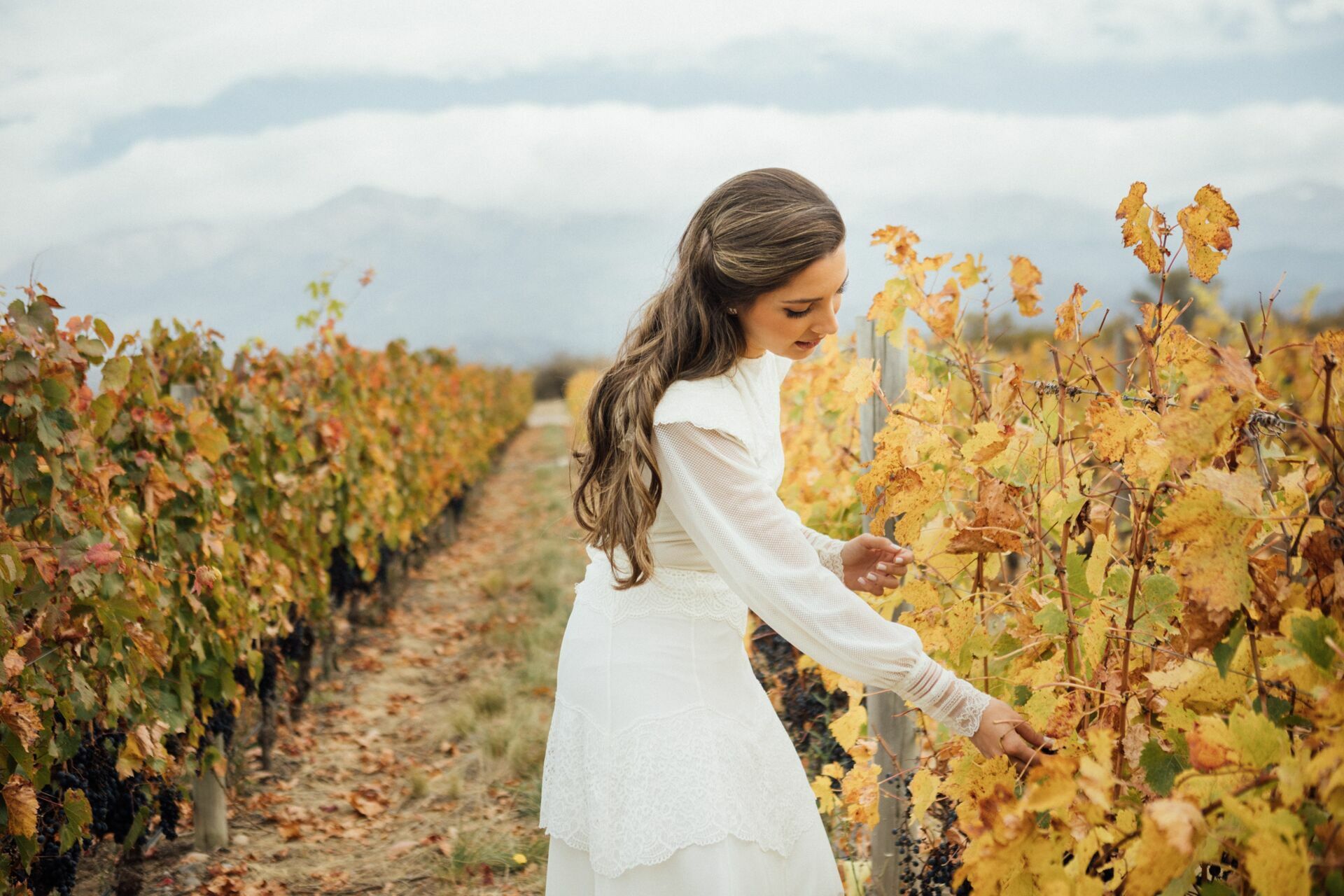 Foto Casamento Mariana e Rafael - Mendoza Argentina - Welcome Salentein e Casa de Uco - Imagem 197
