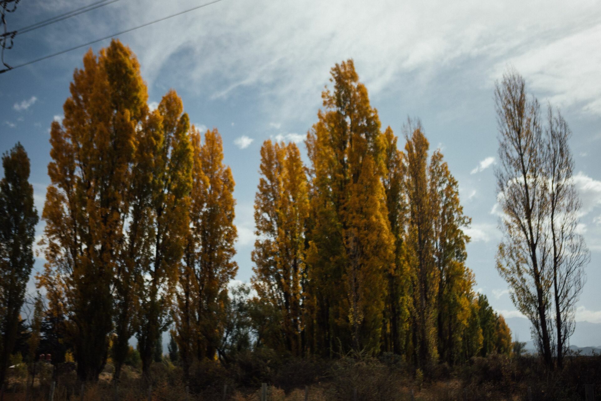 Foto Casamento Mariana e Rafael - Mendoza Argentina - Welcome Salentein e Casa de Uco - Imagem 239
