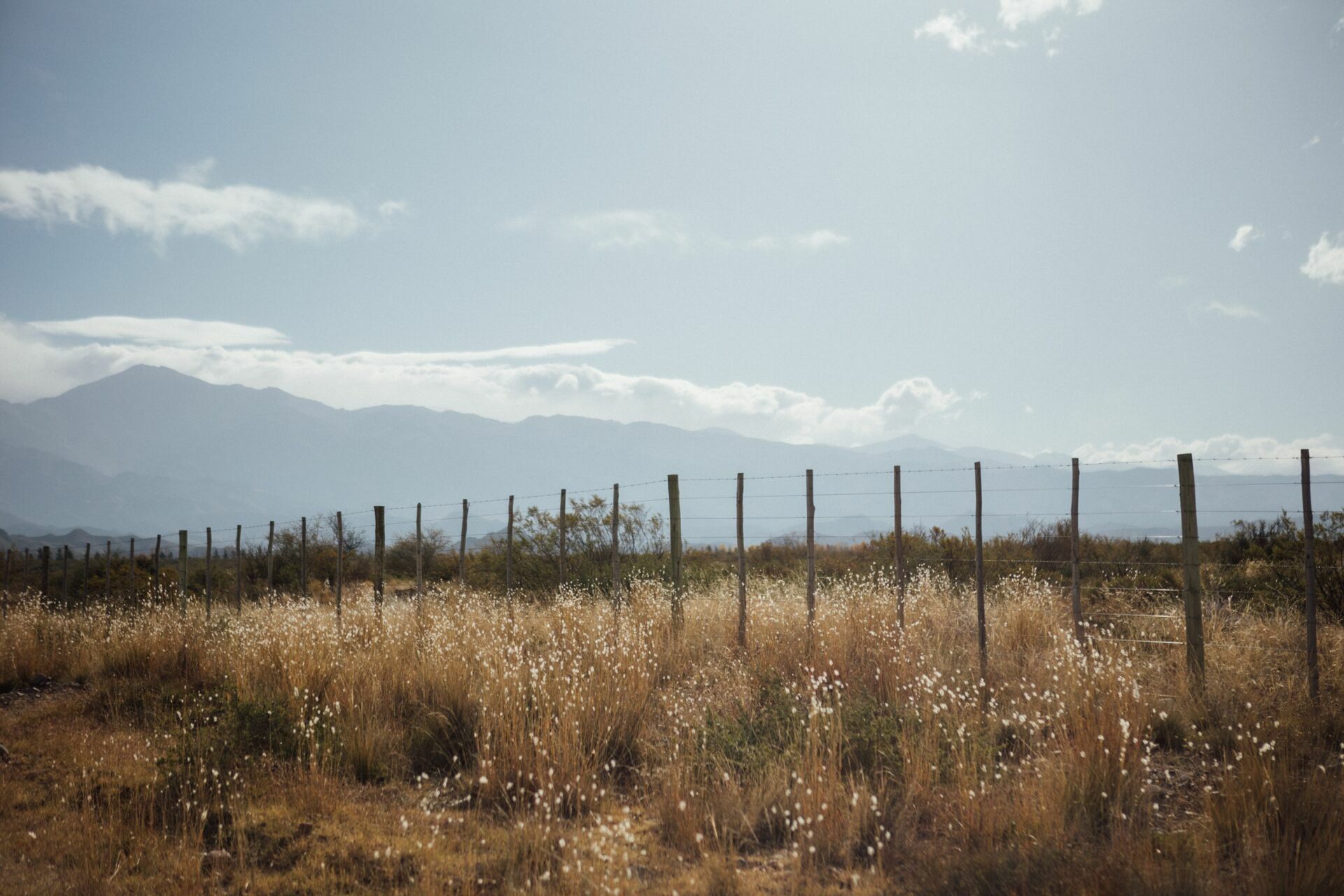Foto Casamento Mariana e Rafael - Mendoza Argentina - Welcome Salentein e Casa de Uco - Imagem 242