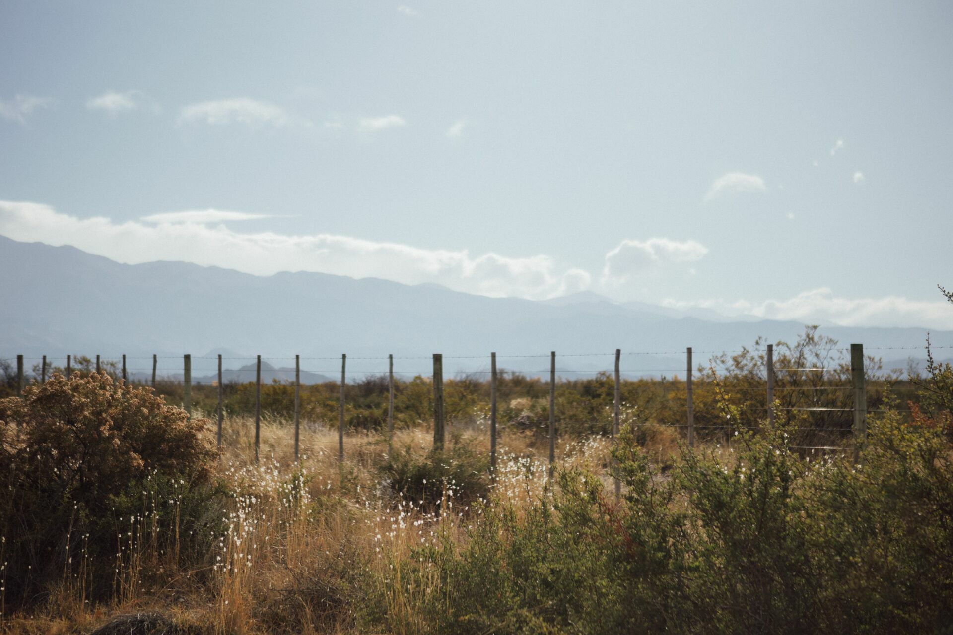 Foto Casamento Mariana e Rafael - Mendoza Argentina - Welcome Salentein e Casa de Uco - Imagem 241