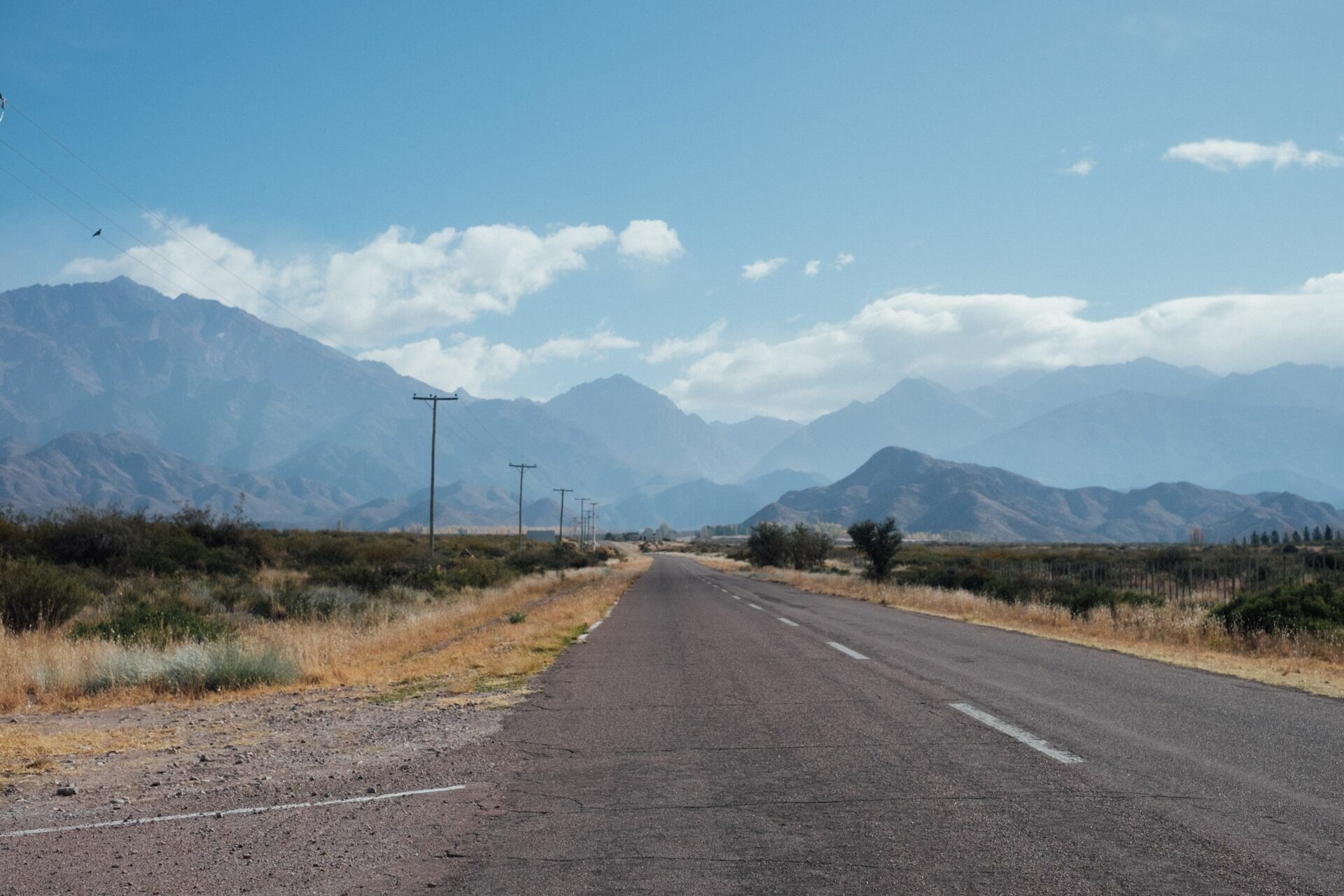 Foto Casamento Mariana e Rafael - Mendoza Argentina - Welcome Salentein e Casa de Uco - Imagem 244