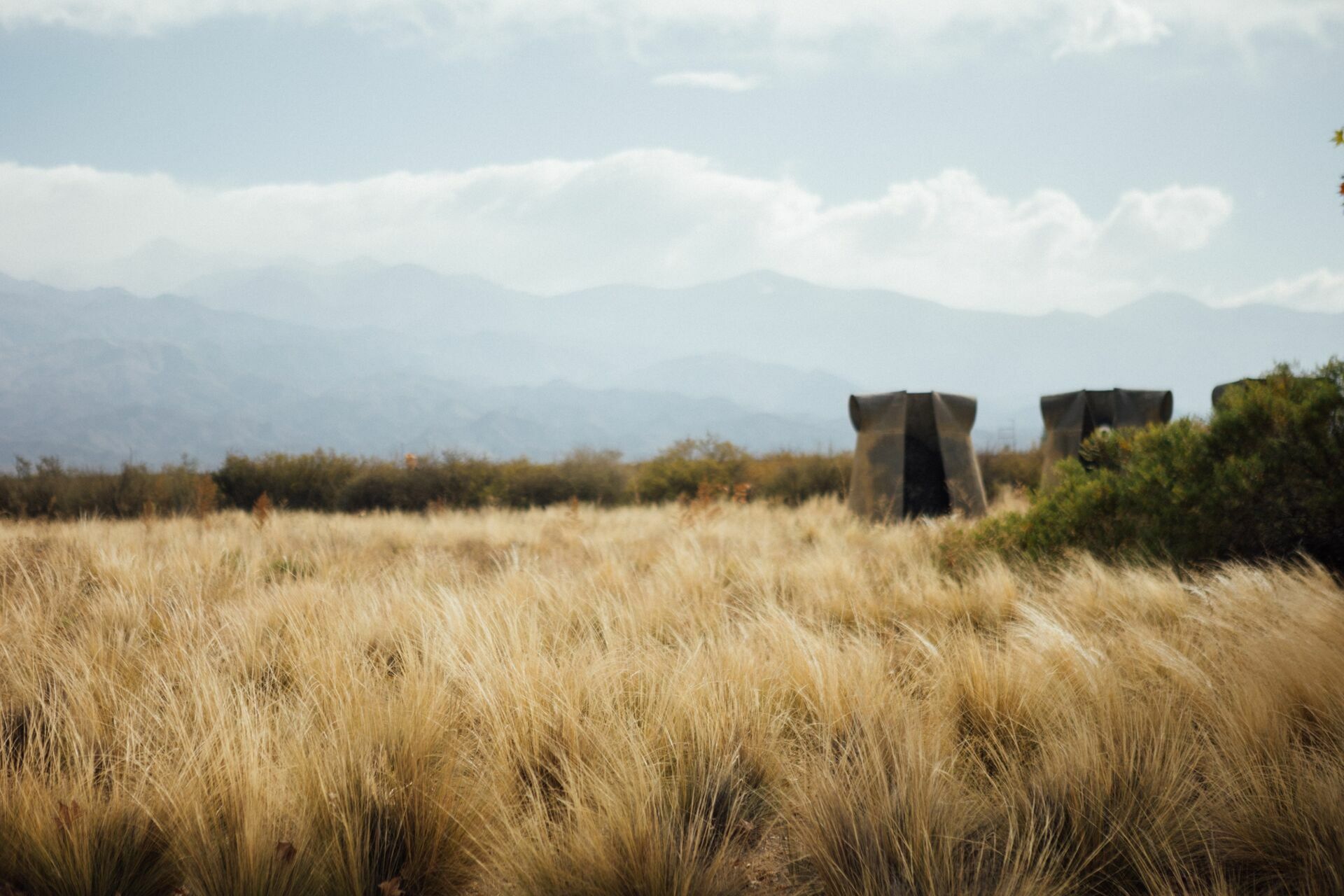 Foto Casamento Mariana e Rafael - Mendoza Argentina - Welcome Salentein e Casa de Uco - Imagem 233
