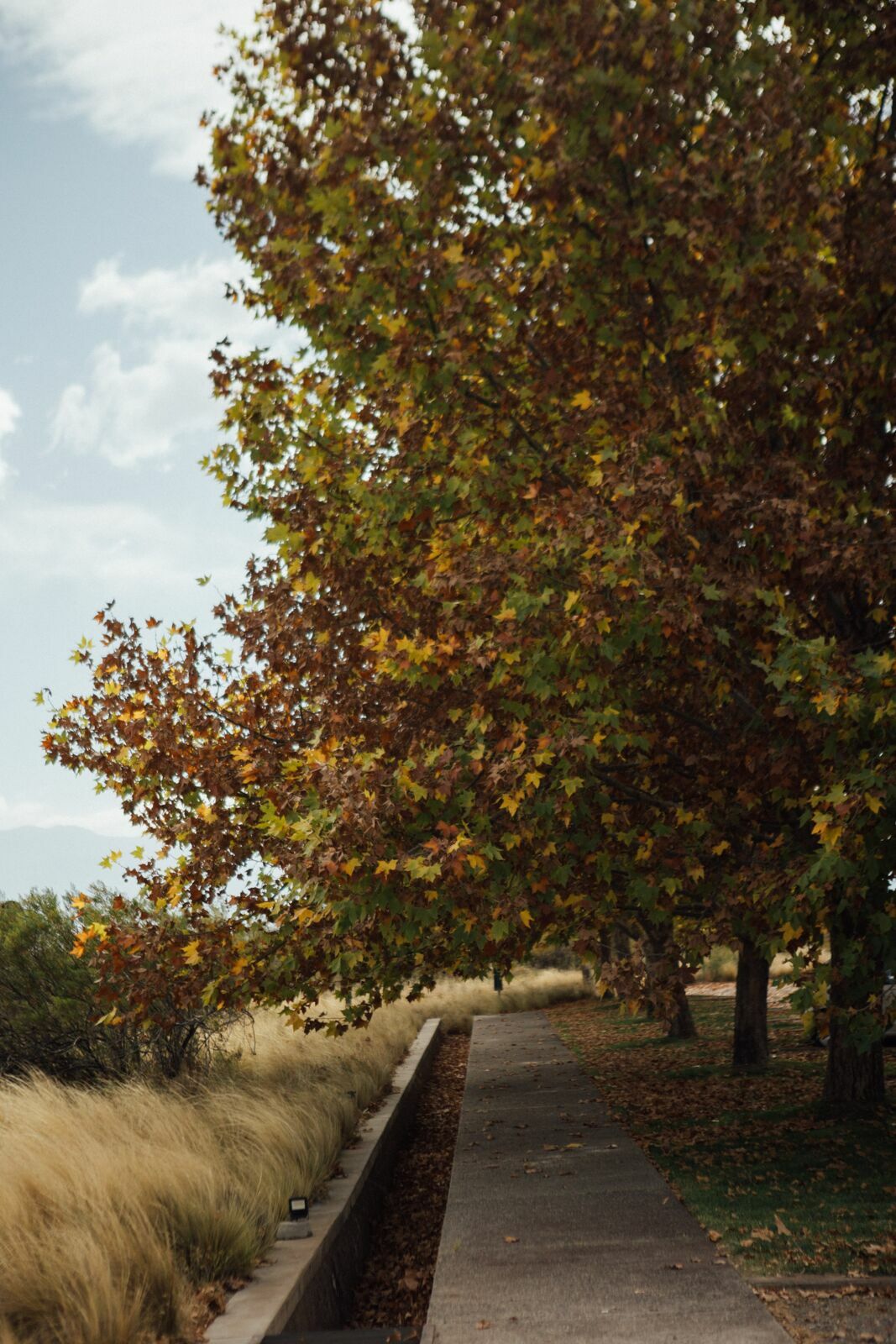 Foto Casamento Mariana e Rafael - Mendoza Argentina - Welcome Salentein e Casa de Uco - Imagem 232
