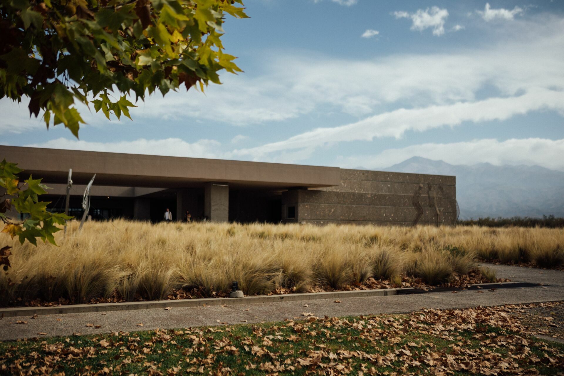 Foto Casamento Mariana e Rafael - Mendoza Argentina - Welcome Salentein e Casa de Uco - Imagem 237