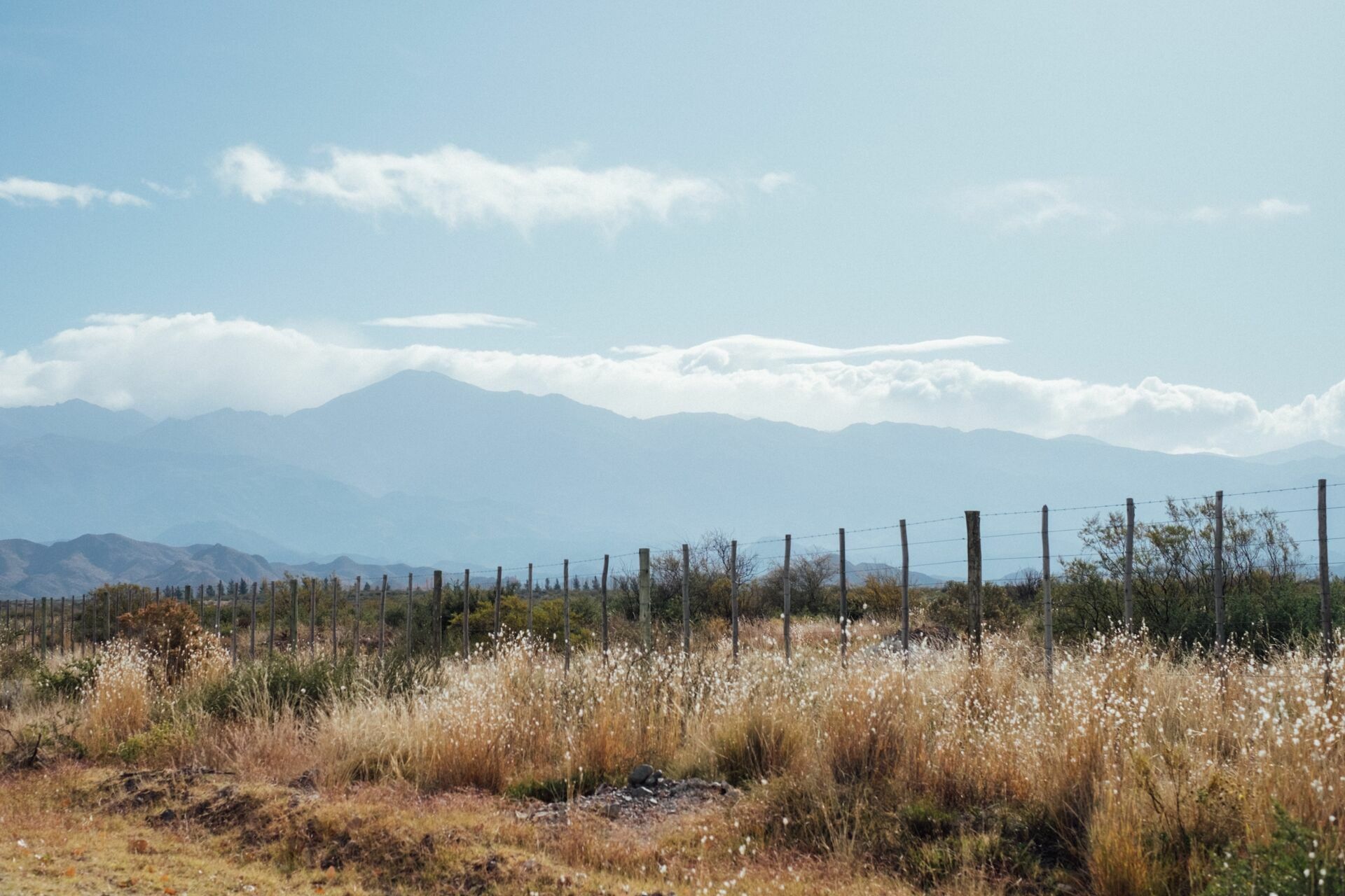 Foto Casamento Mariana e Rafael - Mendoza Argentina - Welcome Salentein e Casa de Uco - Imagem 243
