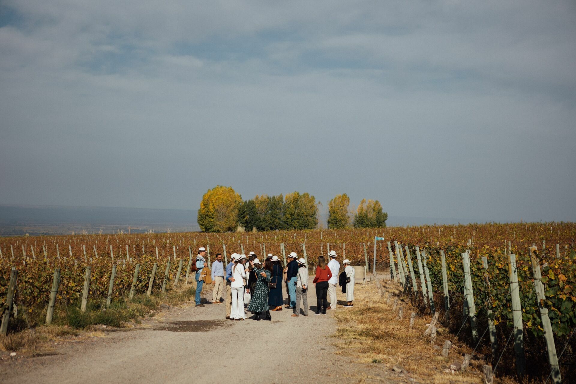Foto Casamento Mariana e Rafael - Mendoza Argentina - Welcome Salentein e Casa de Uco - Imagem 247