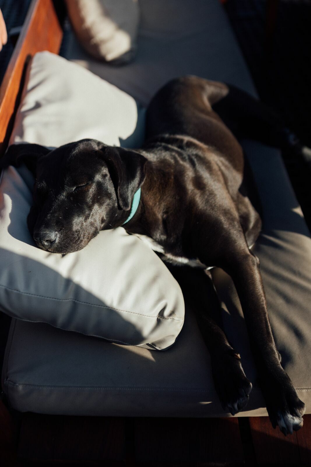 Foto Casamento Mariana e Rafael - Mendoza Argentina - Welcome Salentein e Casa de Uco - Imagem 295
