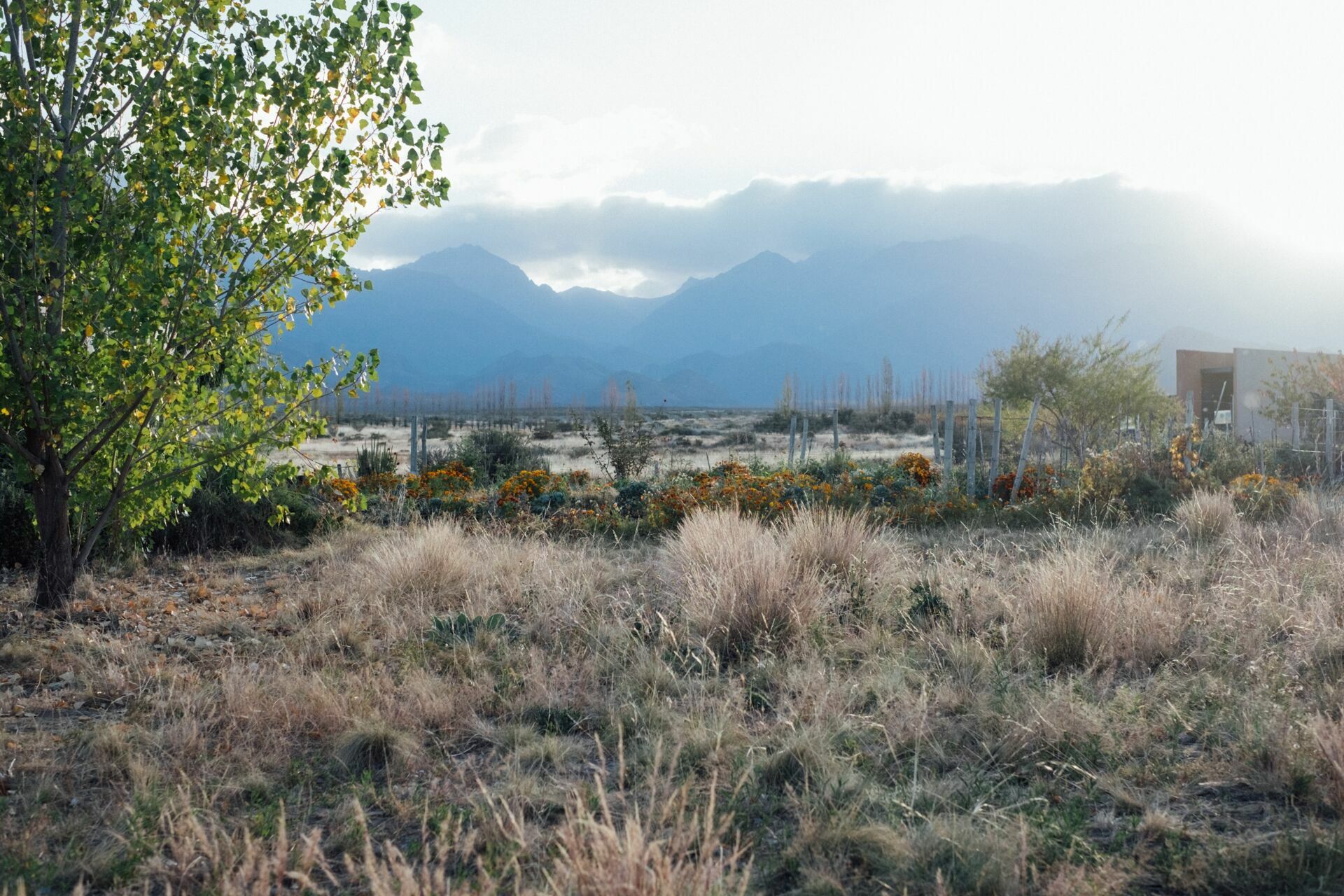 Foto Casamento Mariana e Rafael - Mendoza Argentina - Welcome Salentein e Casa de Uco - Imagem 335