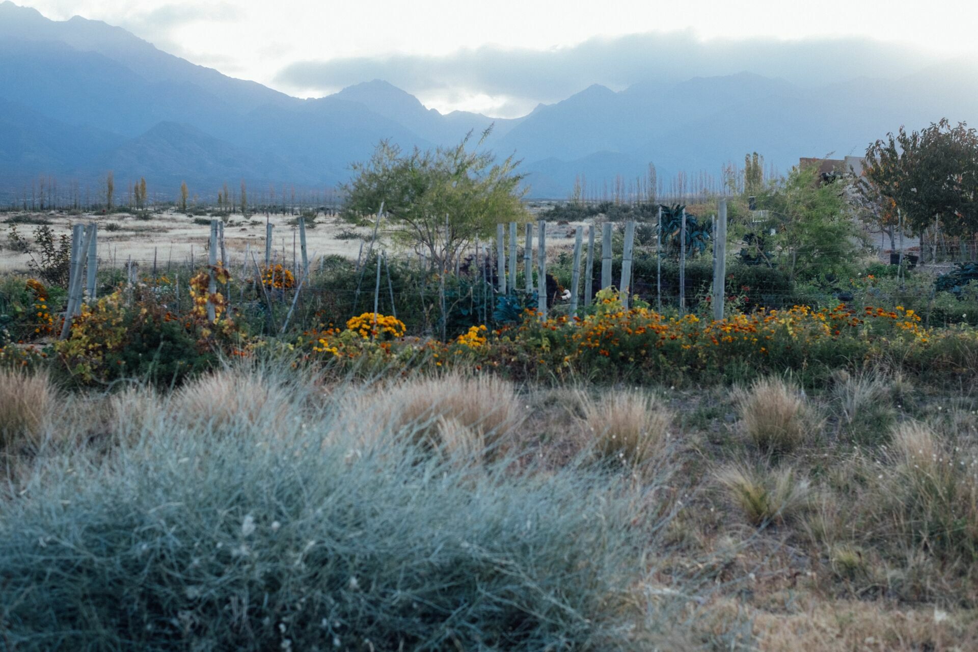 Foto Casamento Mariana e Rafael - Mendoza Argentina - Welcome Salentein e Casa de Uco - Imagem 336