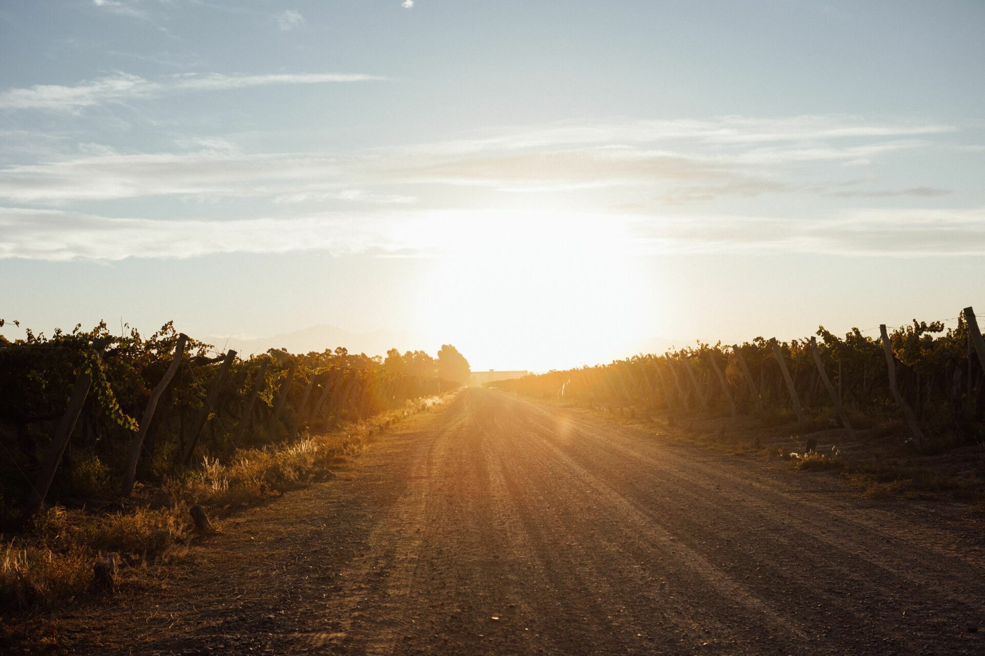 Foto Casamento Mariana e Rafael - Bodega Agostino - Mendoza Argentina - Imagem 186