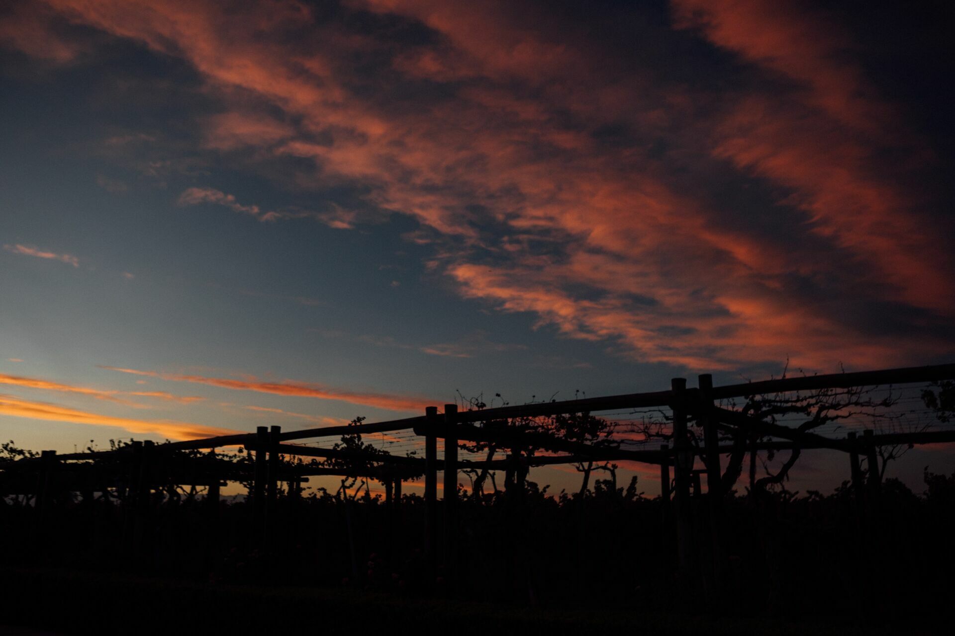 Foto Casamento Mariana e Rafael - Bodega Agostino - Mendoza Argentina - Imagem 230