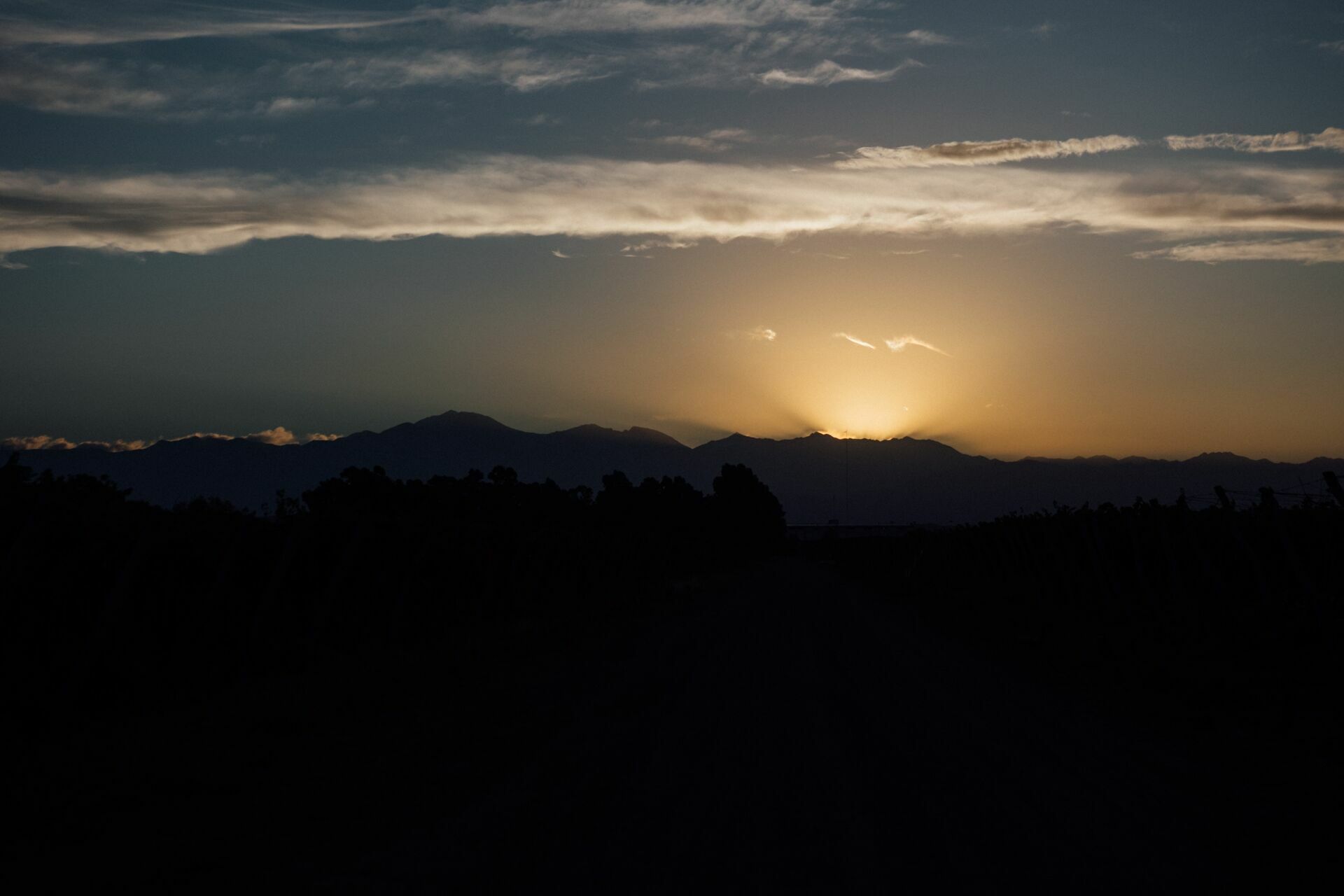 Foto Casamento Mariana e Rafael - Bodega Agostino - Mendoza Argentina - Imagem 210