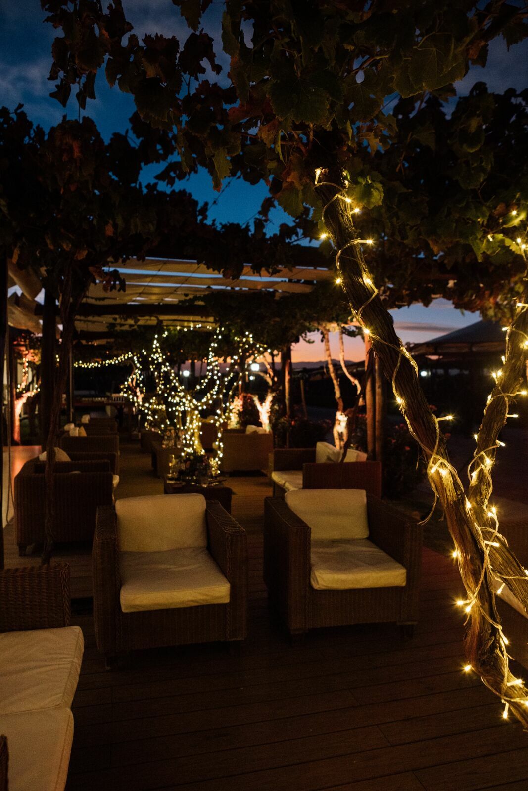 Foto Casamento Mariana e Rafael - Bodega Agostino - Mendoza Argentina - Imagem 249