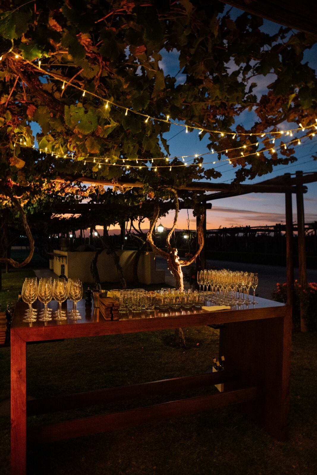 Foto Casamento Mariana e Rafael - Bodega Agostino - Mendoza Argentina - Imagem 248