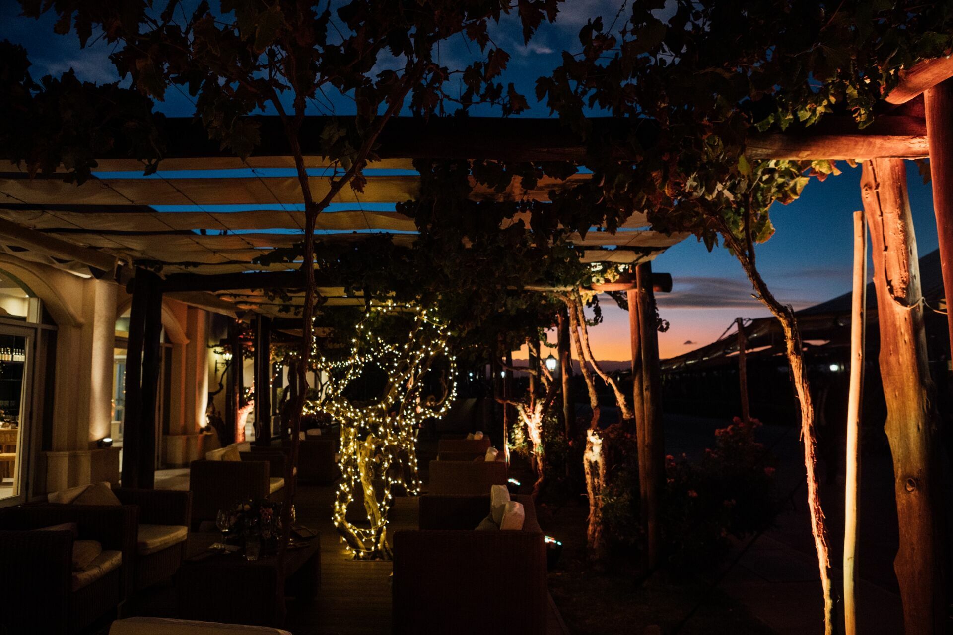 Foto Casamento Mariana e Rafael - Bodega Agostino - Mendoza Argentina - Imagem 250