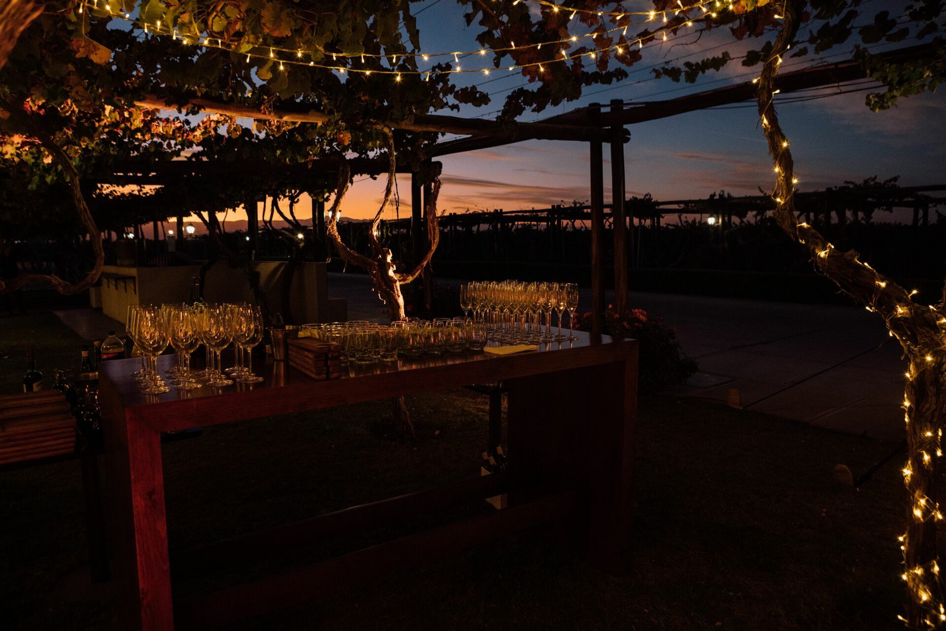 Foto Casamento Mariana e Rafael - Bodega Agostino - Mendoza Argentina - Imagem 247