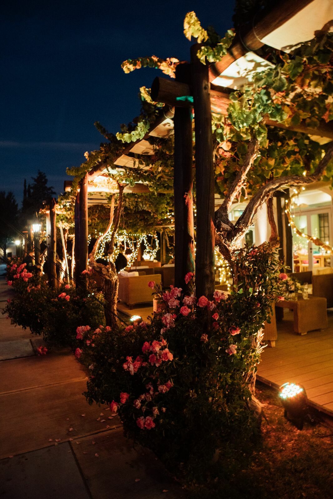 Foto Casamento Mariana e Rafael - Bodega Agostino - Mendoza Argentina - Imagem 255