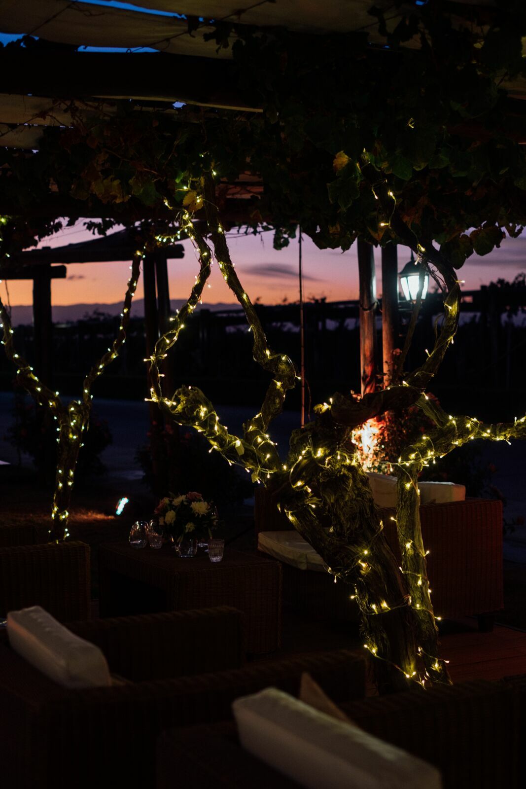 Foto Casamento Mariana e Rafael - Bodega Agostino - Mendoza Argentina - Imagem 246