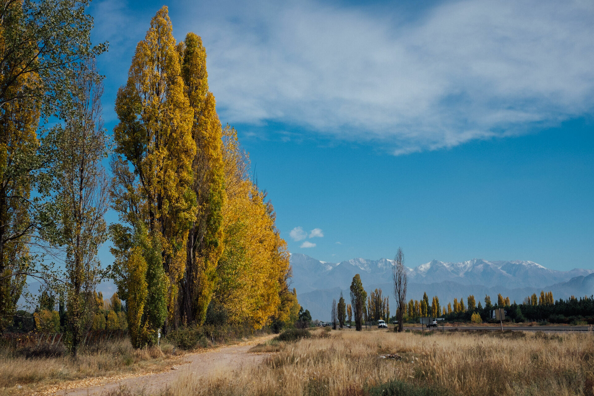 Foto Day after - Casamento Mariana e Rafael - Susana Balbo wines - Mendoza - Imagem 0