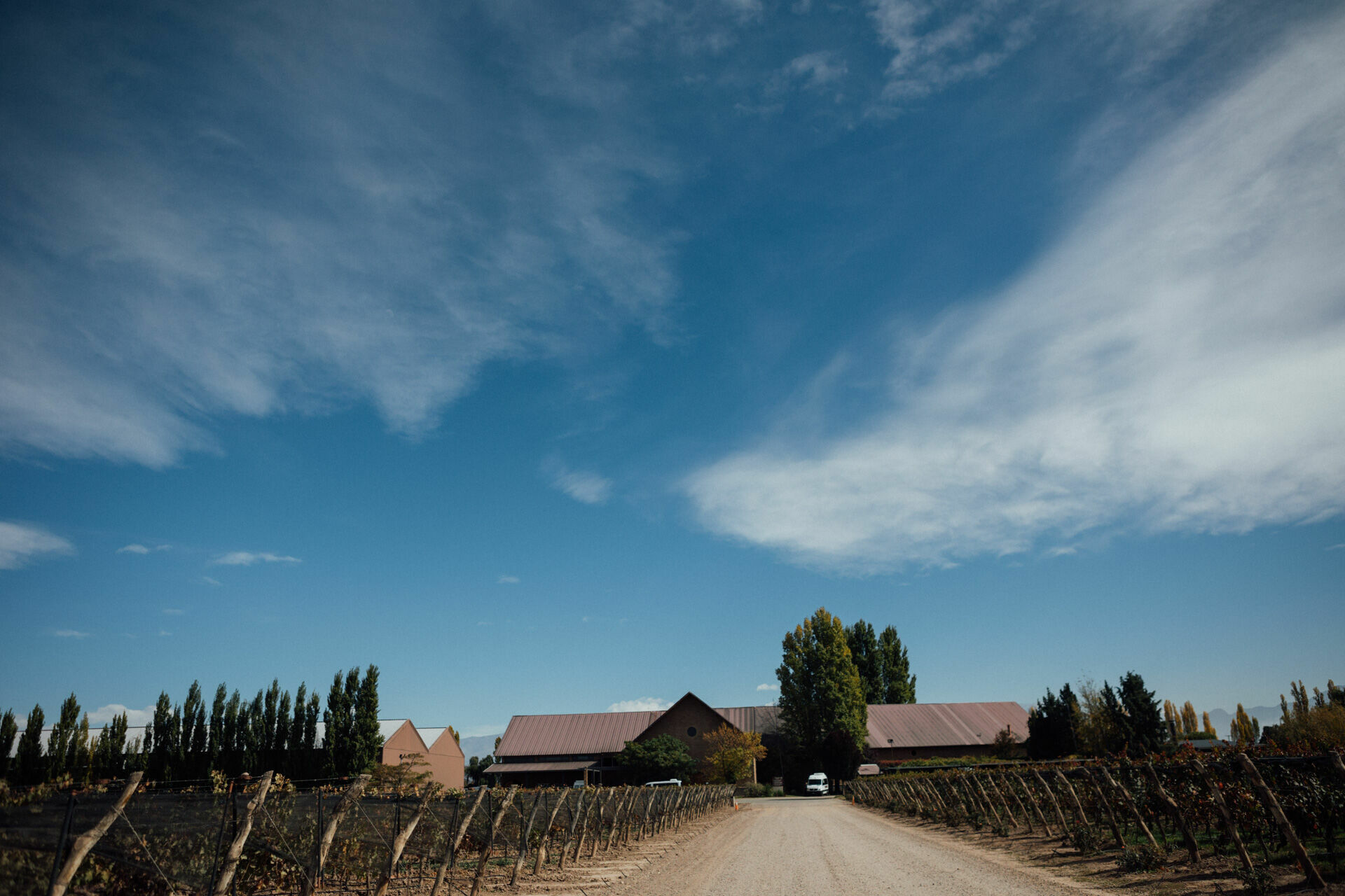 Foto Day after - Casamento Mariana e Rafael - Susana Balbo wines - Mendoza - Imagem 15