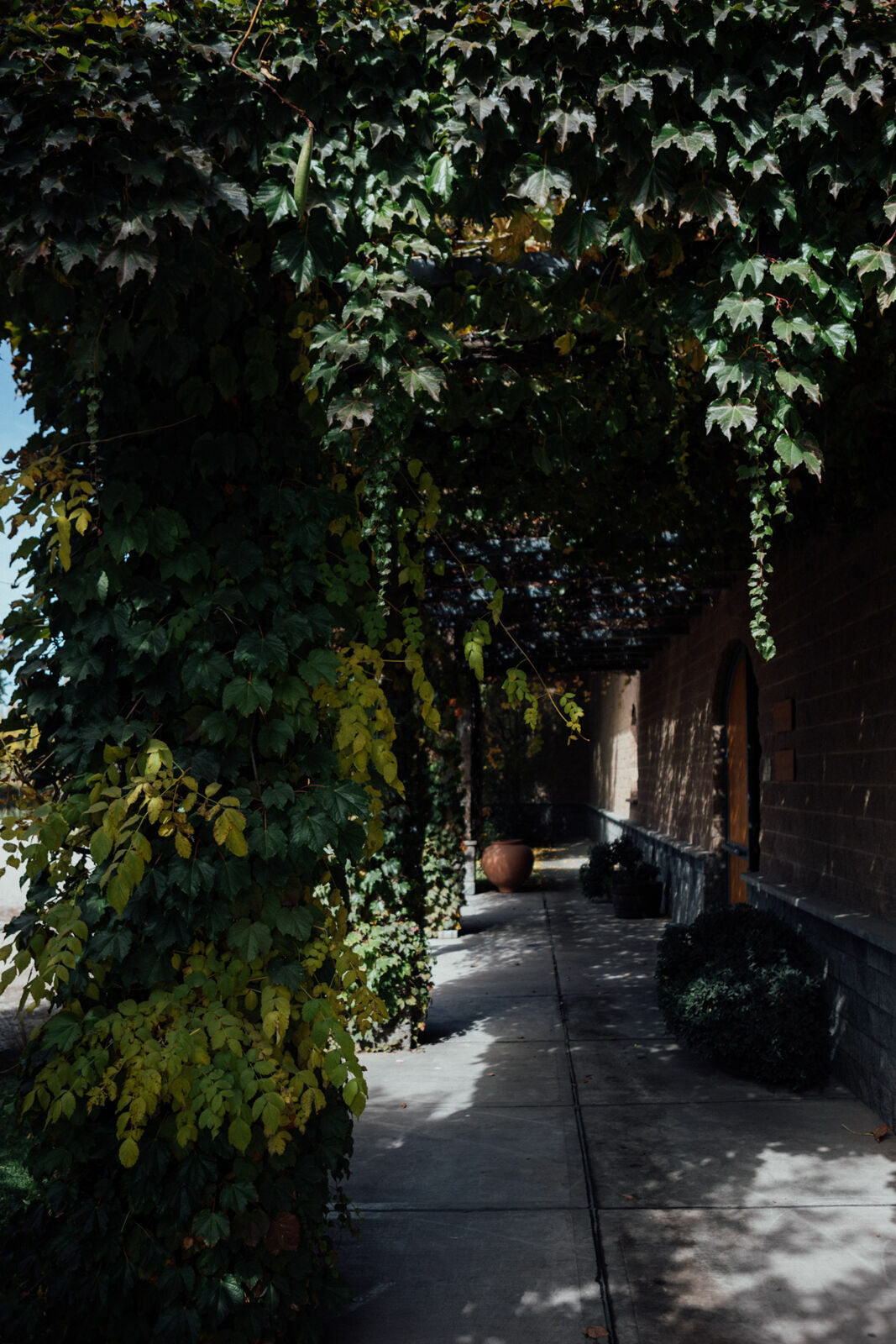 Foto Day after - Casamento Mariana e Rafael - Susana Balbo wines - Mendoza - Imagem 11