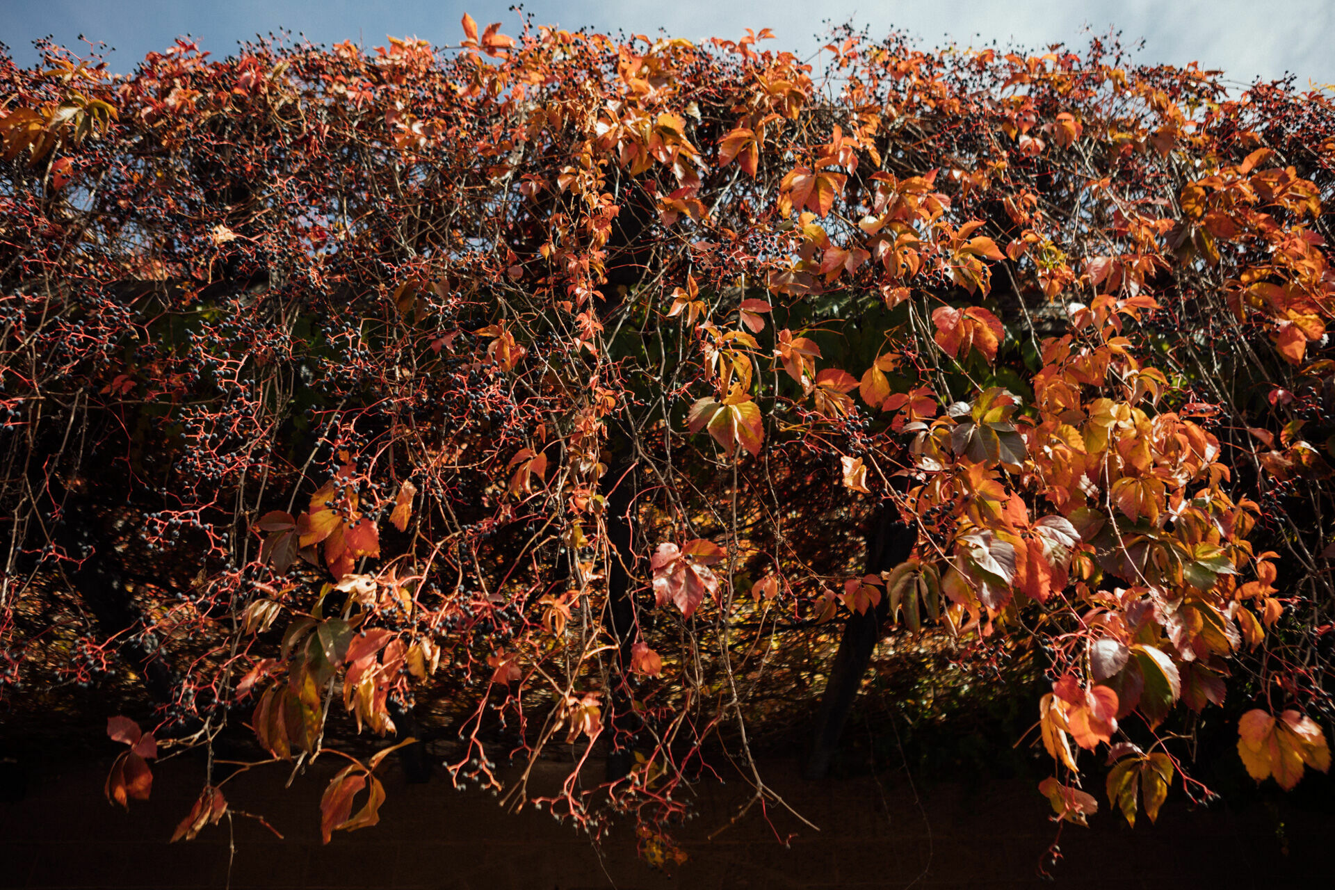 Foto Day after - Casamento Mariana e Rafael - Susana Balbo wines - Mendoza - Imagem 20