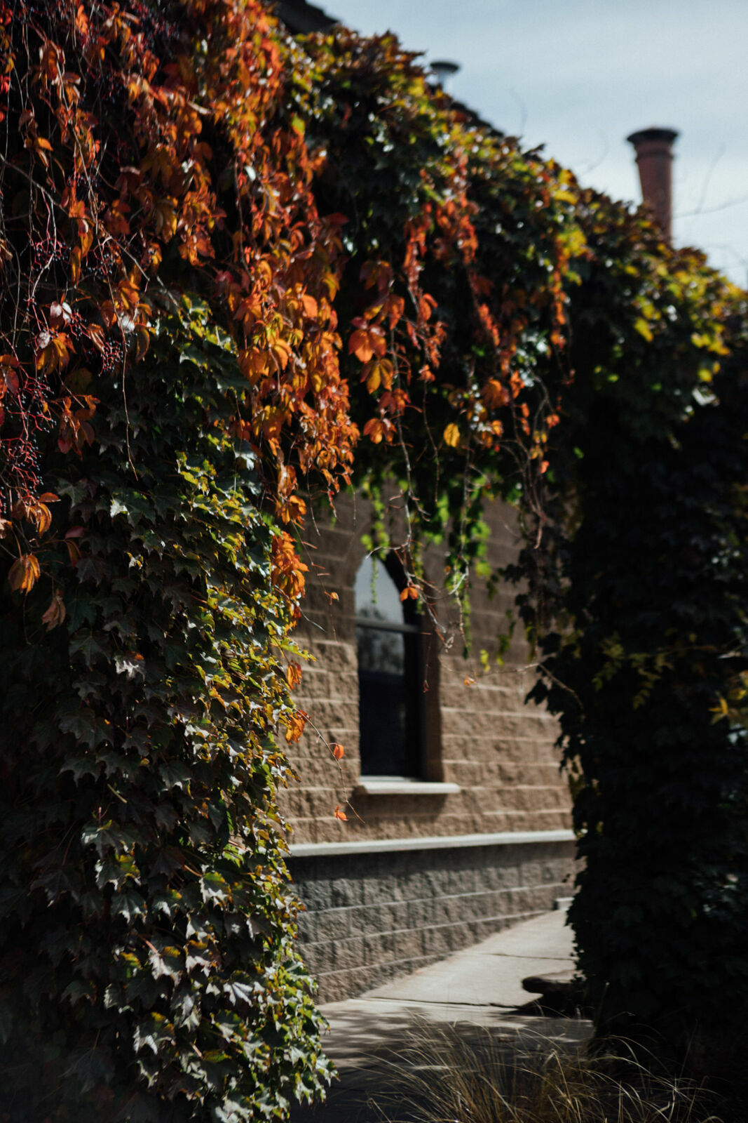 Foto Day after - Casamento Mariana e Rafael - Susana Balbo wines - Mendoza - Imagem 17
