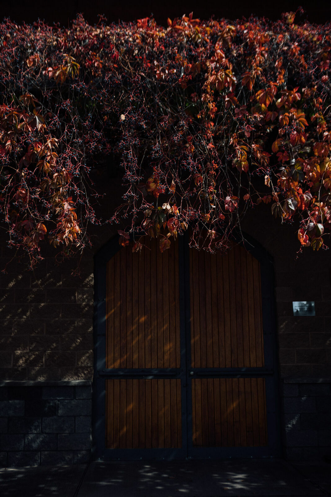 Foto Day after - Casamento Mariana e Rafael - Susana Balbo wines - Mendoza - Imagem 19