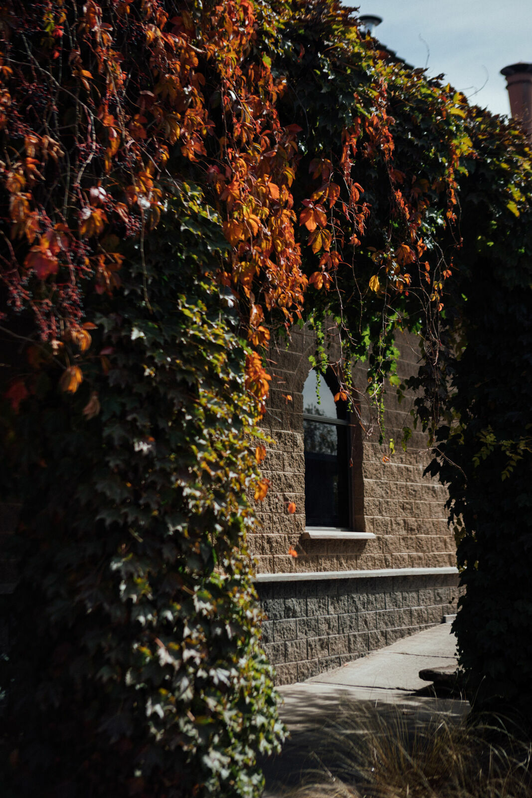 Foto Day after - Casamento Mariana e Rafael - Susana Balbo wines - Mendoza - Imagem 18