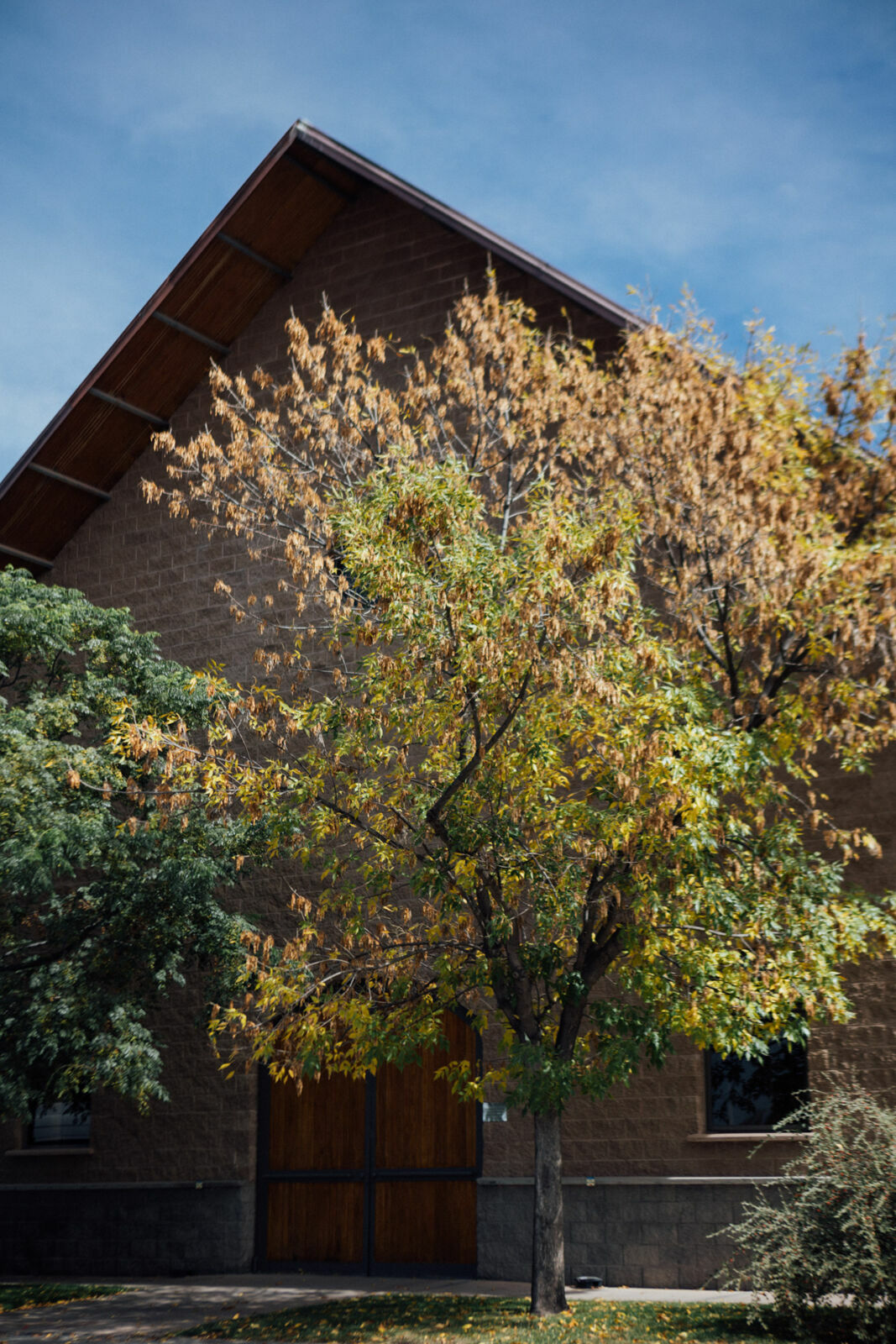 Foto Day after - Casamento Mariana e Rafael - Susana Balbo wines - Mendoza - Imagem 16