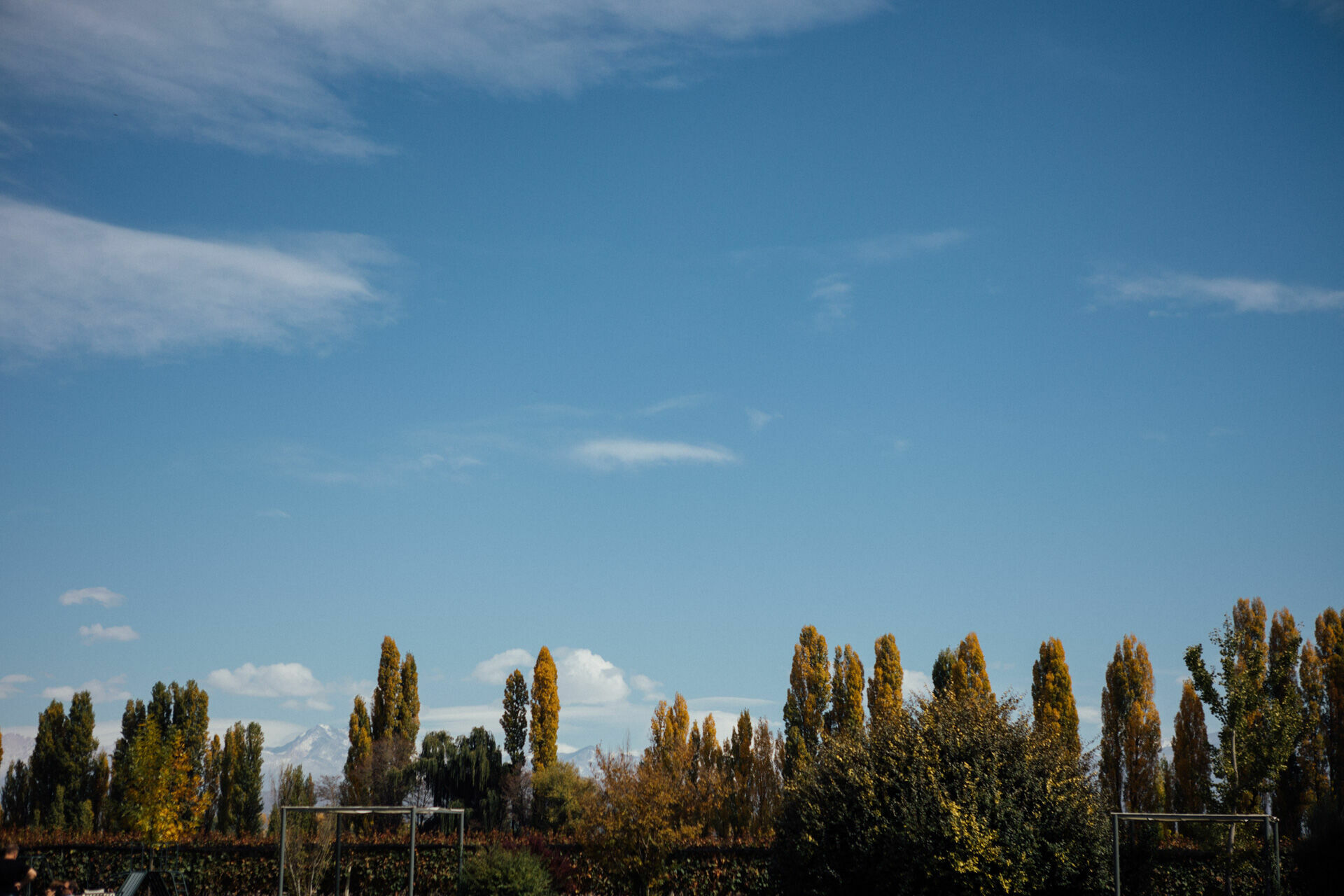 Foto Day after - Casamento Mariana e Rafael - Susana Balbo wines - Mendoza - Imagem 29