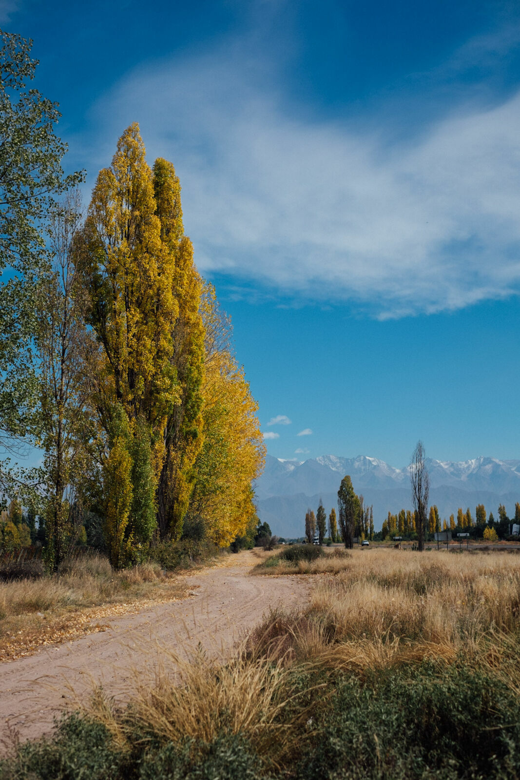 Foto Day after - Casamento Mariana e Rafael - Susana Balbo wines - Mendoza - Imagem 1