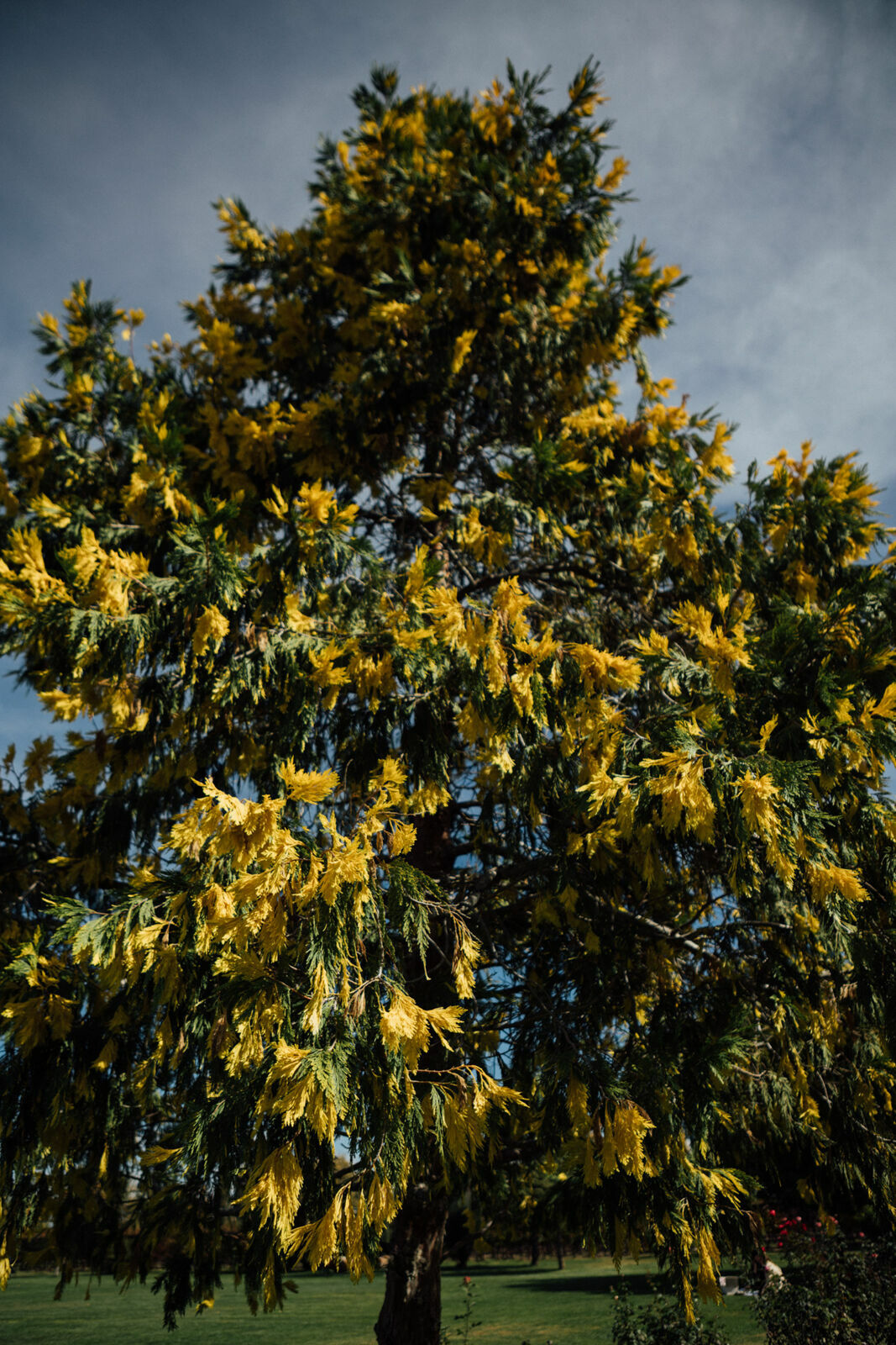 Foto Day after - Casamento Mariana e Rafael - Susana Balbo wines - Mendoza - Imagem 58