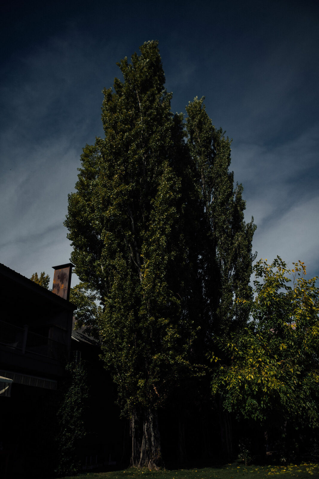 Foto Day after - Casamento Mariana e Rafael - Susana Balbo wines - Mendoza - Imagem 40