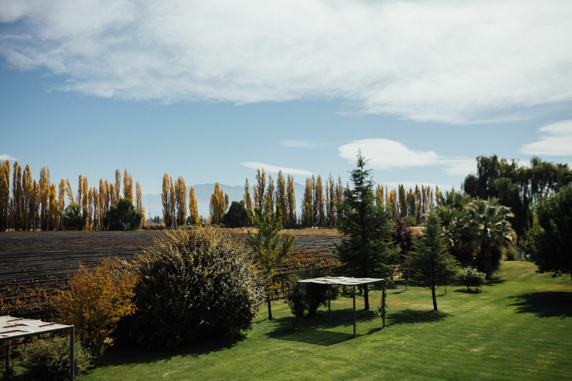 Foto Day after - Casamento Mariana e Rafael - Susana Balbo wines - Mendoza - Imagem 42