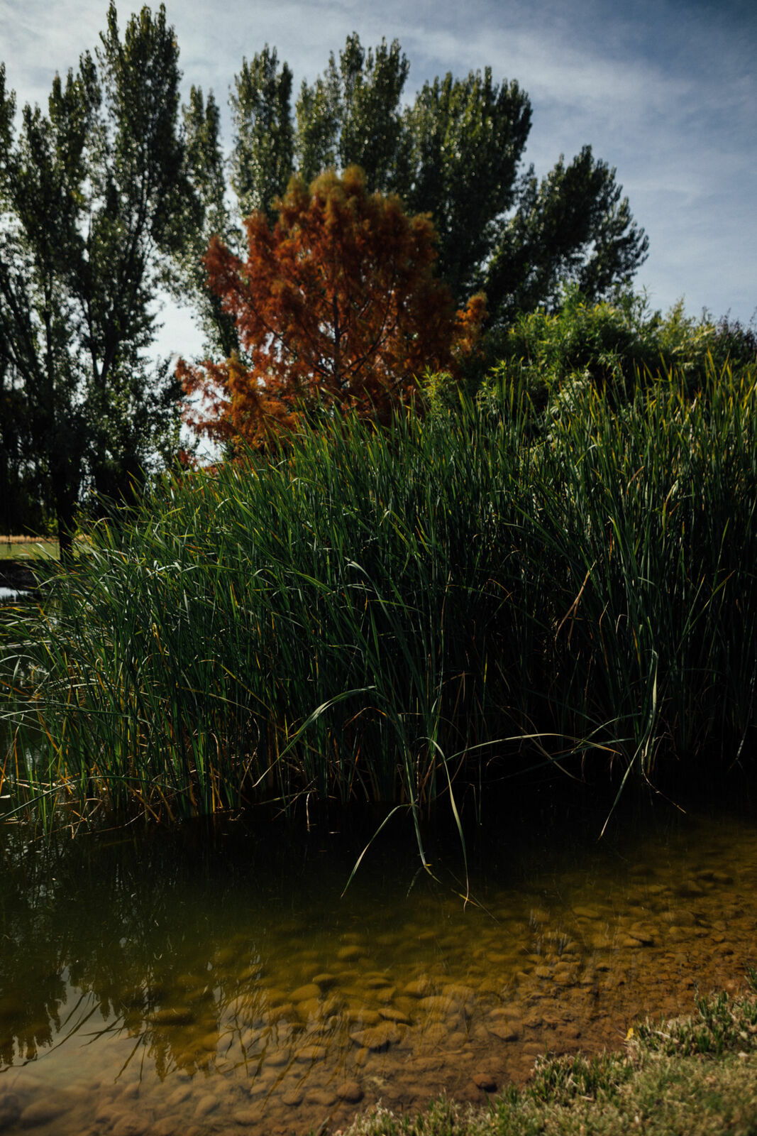 Foto Day after - Casamento Mariana e Rafael - Susana Balbo wines - Mendoza - Imagem 56