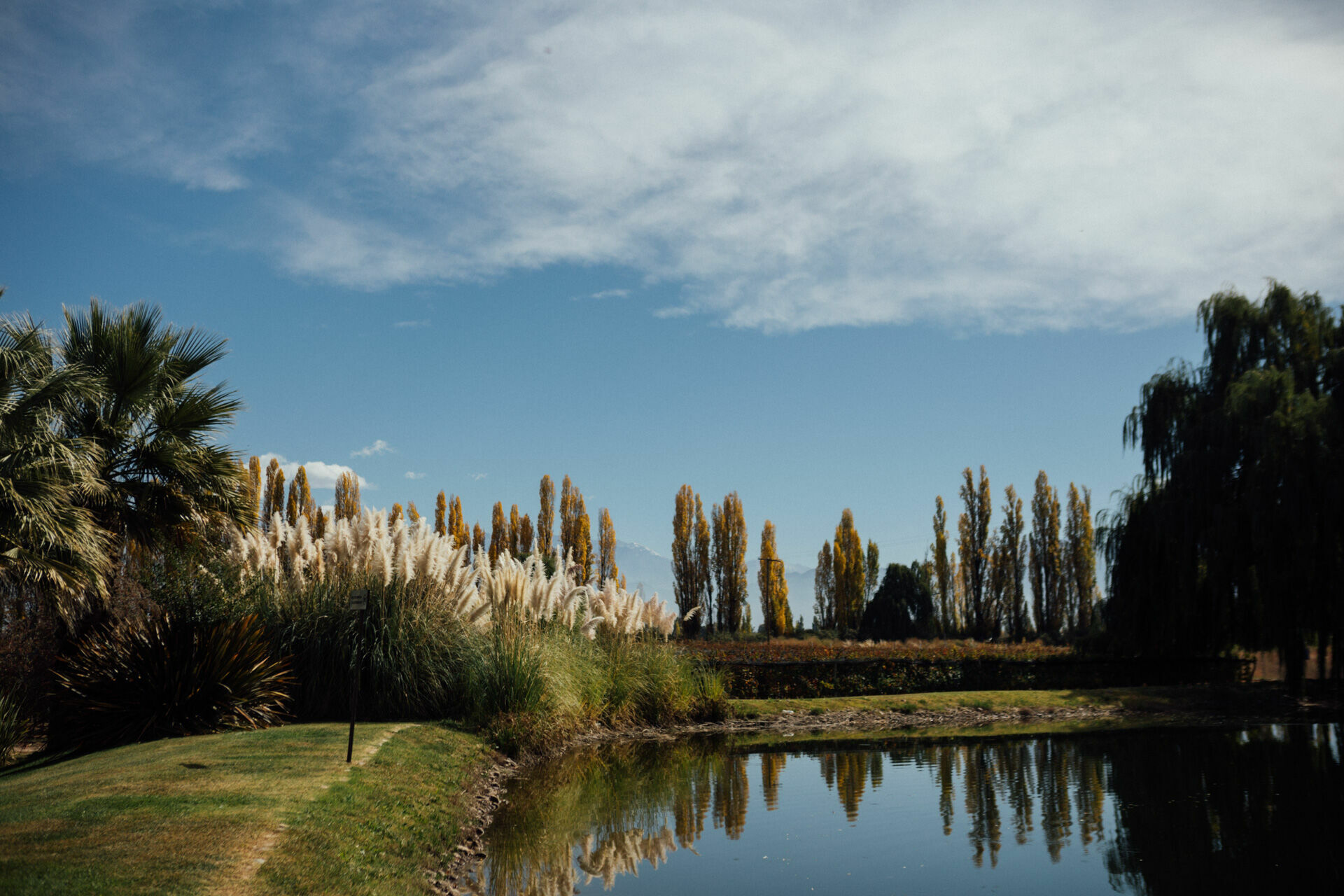 Foto Day after - Casamento Mariana e Rafael - Susana Balbo wines - Mendoza - Imagem 57