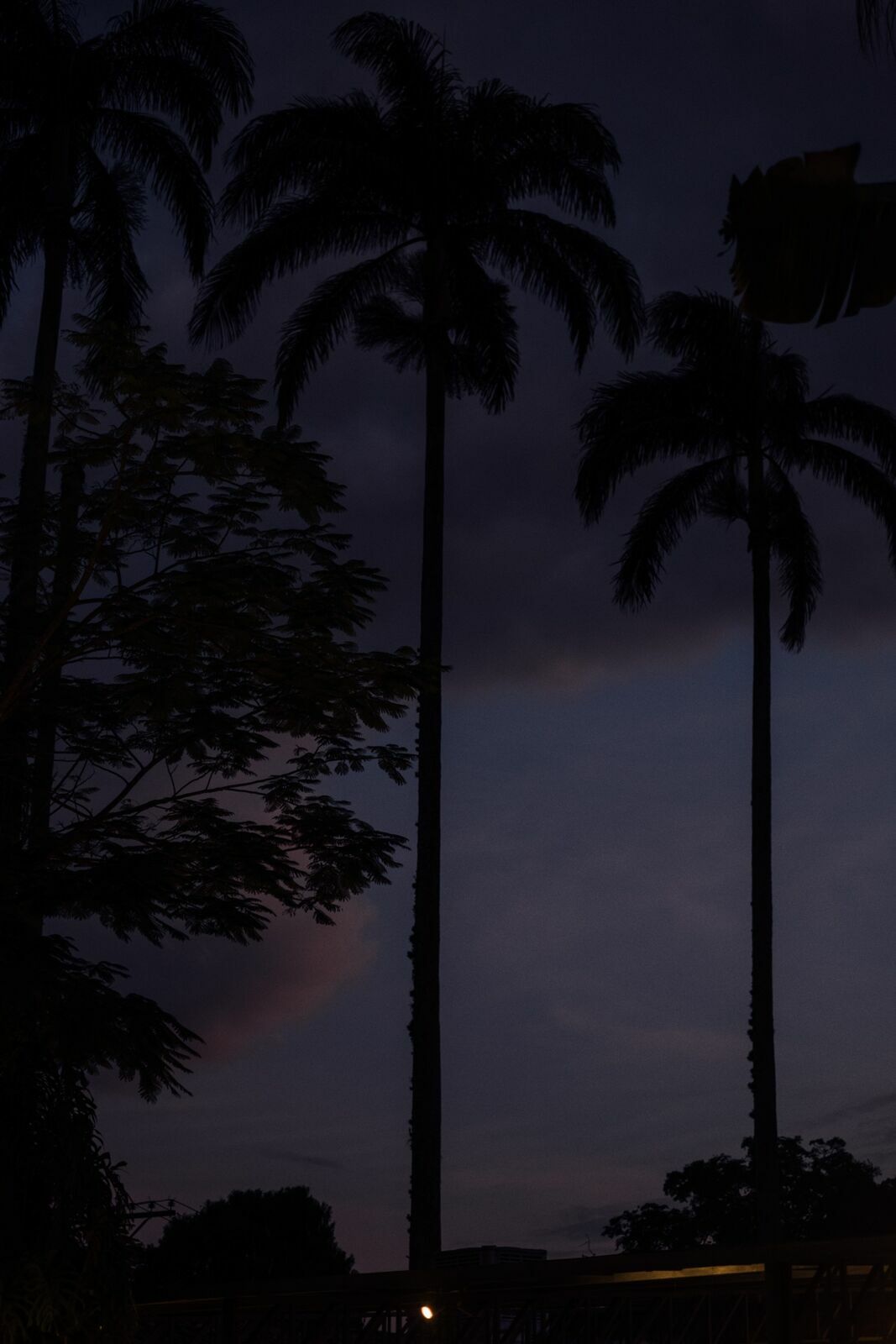 Foto Casamento Victoria e Thalles - Capelania e Casarão Penedo - Penedo RJ - Imagem 348